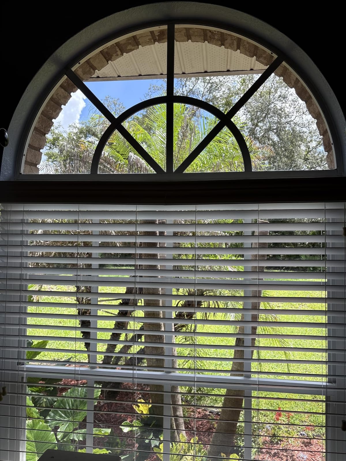 Touri 2 Pcs Arch Window Light Filtering Pleated Shade Blinds, 72 X 36 in customer photo 2