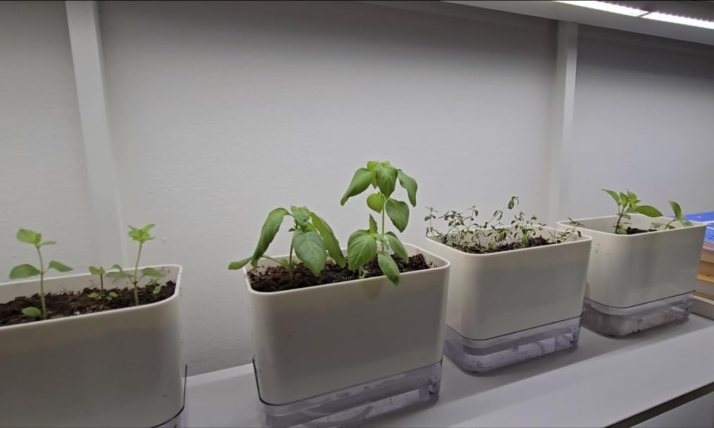 Planterhoma Self Watering Plant Pots for Indoor Plants 7 inch, 4 Packs Rectangle Self-Watering Planters with Drainage Hole, White African Violet Pots for Devil's Ivy, Spider Plant, Orchid, Herb customer photo 1