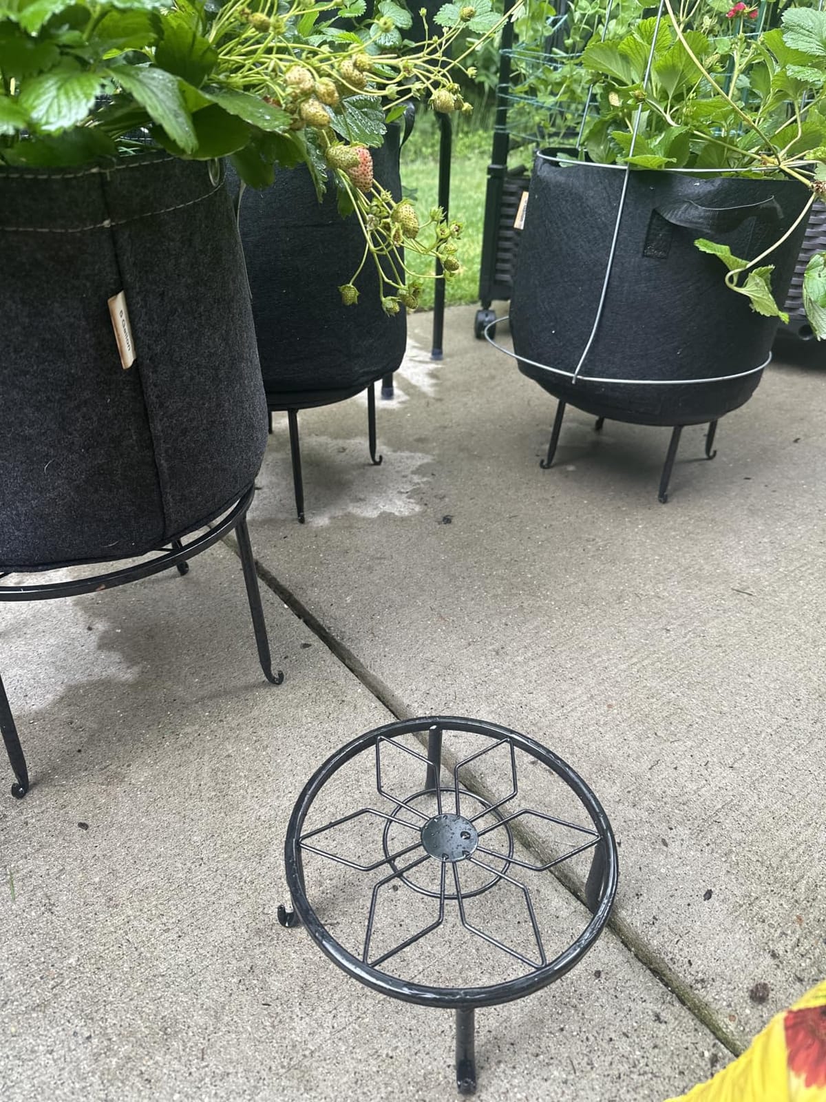 5 Pack Metal Plant Stand,Heavy Duty Plant Stands for Indoor and Outdoor customer photo 2