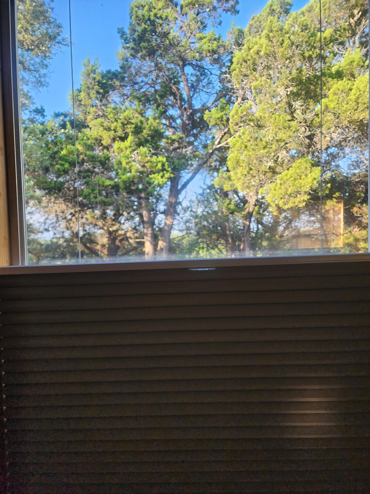 MYshade Top Down Bottom Up Shade Cordless Cellular Shades Blackout Blinds for Indoor Windows Room Darkening Window Blinds & Shades Easy to Install 46
