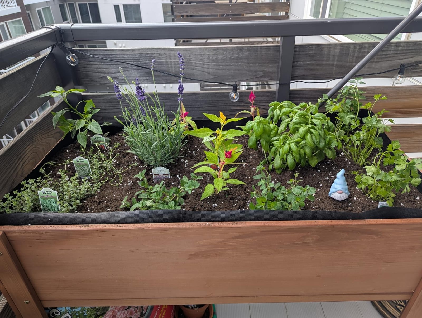 48×24×30 Raised Garden Bed with Legs, Cedar Wood Elevated Planter Box customer photo 2