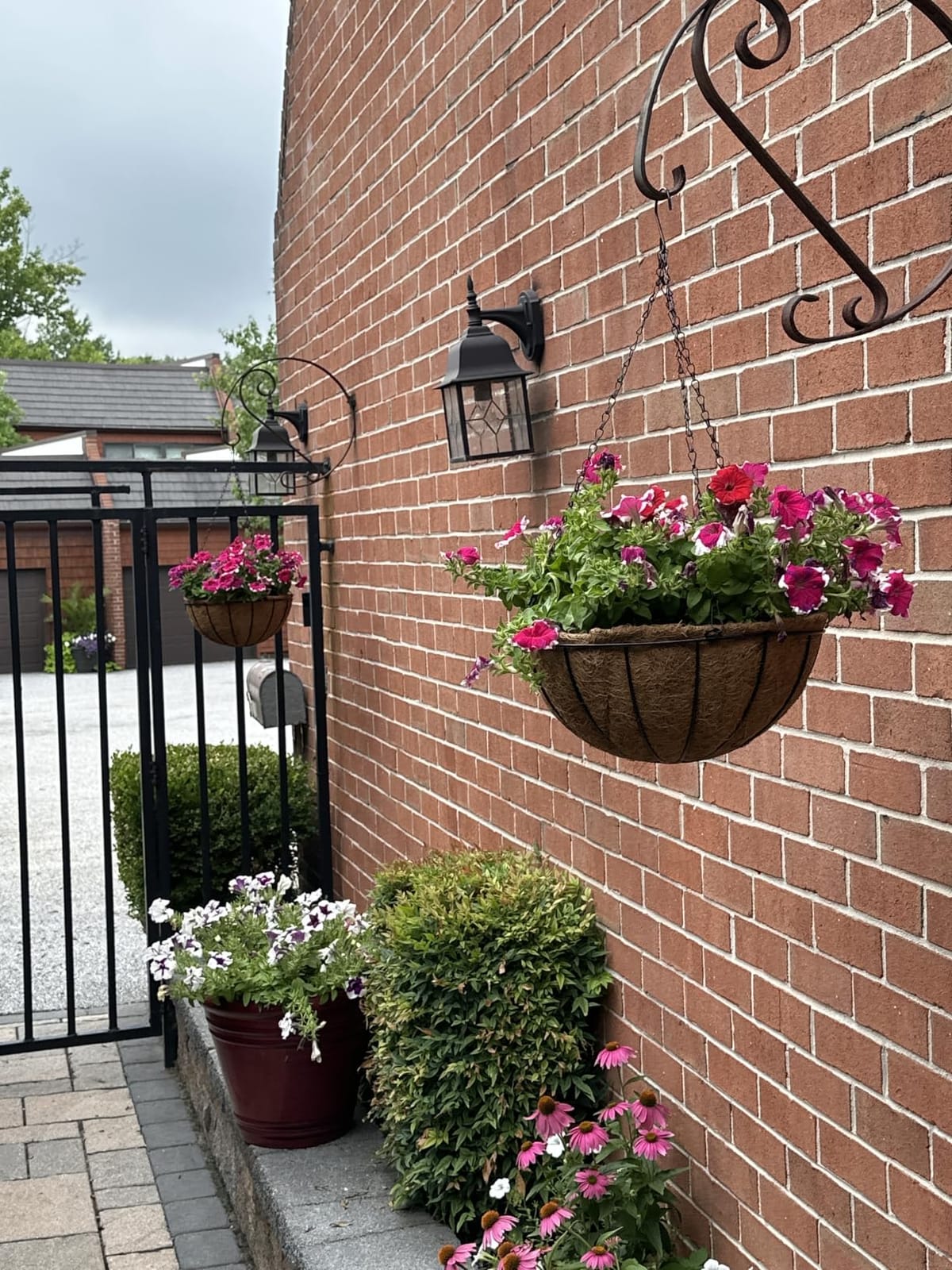 ZeeDix 2 Pack 14 Inch Hanging Baskets for Plants Outdoor, Metal Wire Round Planters with Coco Liner, Hanging Flower Baskets for Home Garden Porch Balcony Railings Decor customer photo 1