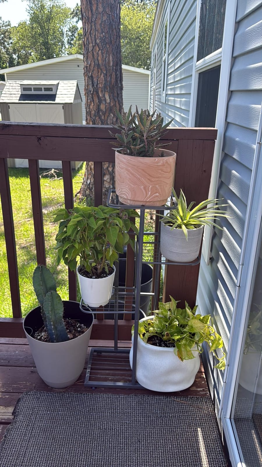 LINZINAR 4 Tier Plant Stand Indoor Outdoor Metal Flower Pot Display Shelf customer photo 2