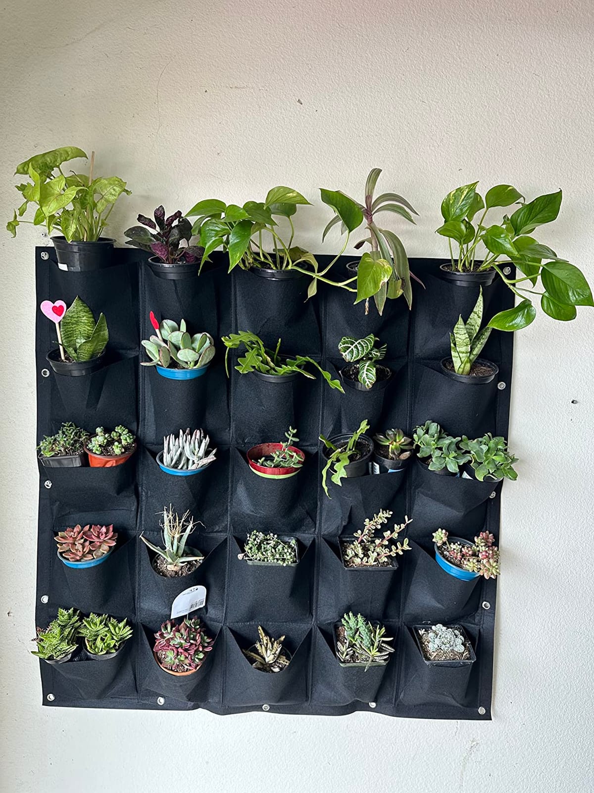 90 Pockets Hanging Planter Bags, Hanging Vertical Wall Mounted Plant Planting Grow Bags, Herb Garden Planter Outdoor Indoor Growing Bag, Gardening Vertical Greening Flower Container(1.1m×1.1m, Black) customer photo 2