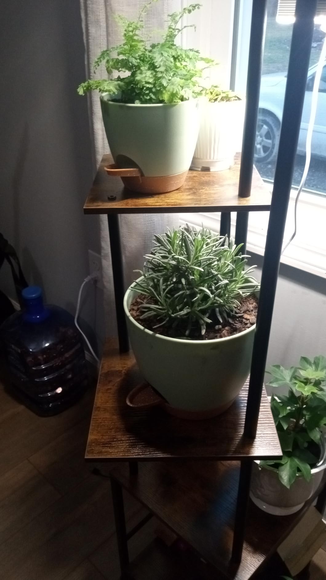Vanslogreen Plant Pots Indoor 7/6.5/6/5.5/5 Inch Self Watering Planters for Indoor Plants with Drainage Hole, Plastic Flower Pots for Succulents, African Violet (Green) customer photo 1