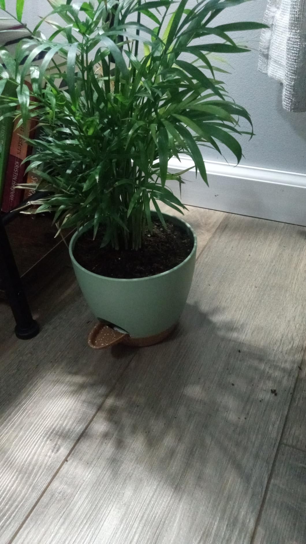 Vanslogreen Plant Pots Indoor 7/6.5/6/5.5/5 Inch Self Watering Planters for Indoor Plants with Drainage Hole, Plastic Flower Pots for Succulents, African Violet (Green) customer photo 2