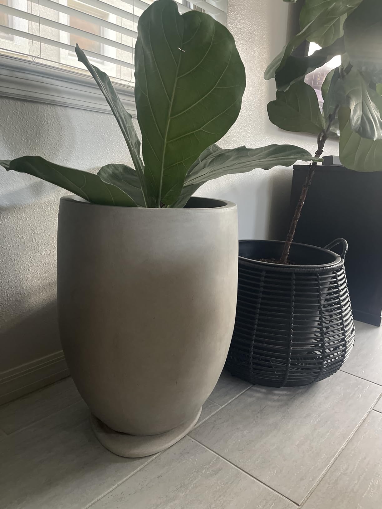 Kante Tall Concrete Planter, 21.7