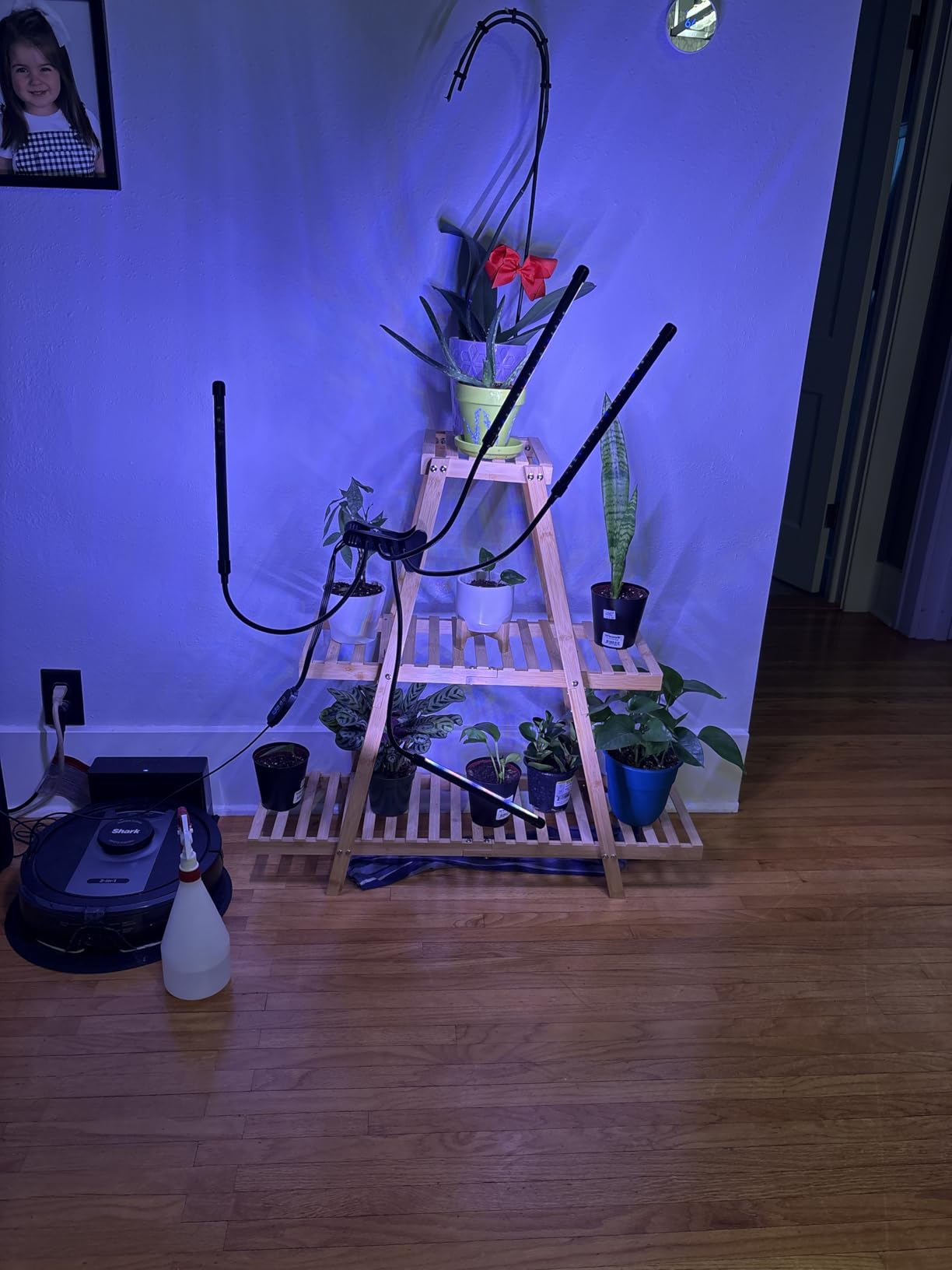 BMOSU Plant Stand Bamboo for Indoor Outdoor Tiered Plant Shelf 8 Potted Flower Holder Ladder Rack Garden Balcony Living Room Patio(3 Tier Natural) customer photo 1