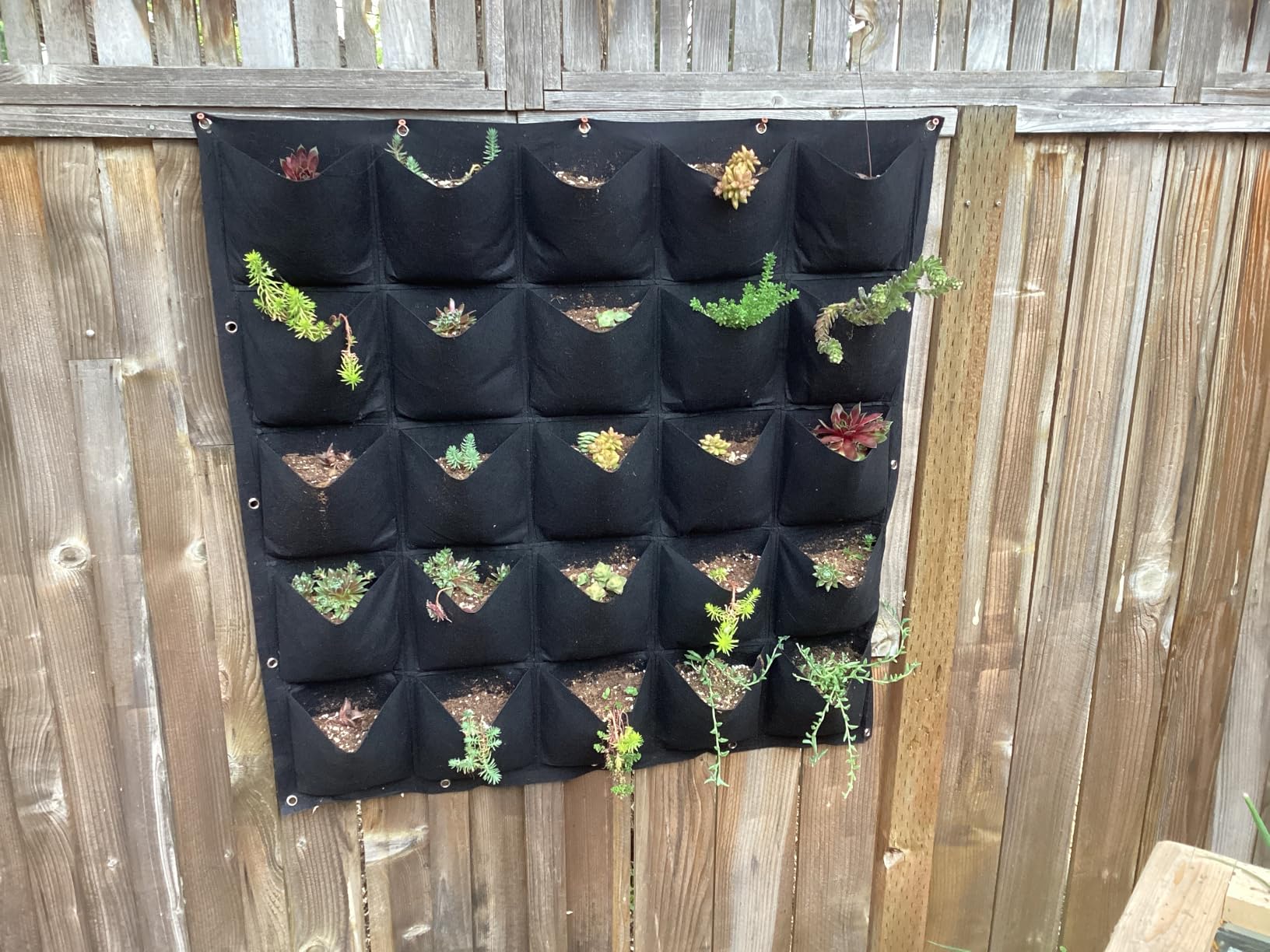Hanging Planting Grow Bags, 25 Pockets Hanging Vertical Wall Planter Wall Mounted Grow Bag Outdoor Indoor Gardening Vertical Greening Flower Container, Planting Bags Storage Bags(1.0 m × 1.0 m, Black) customer photo 2