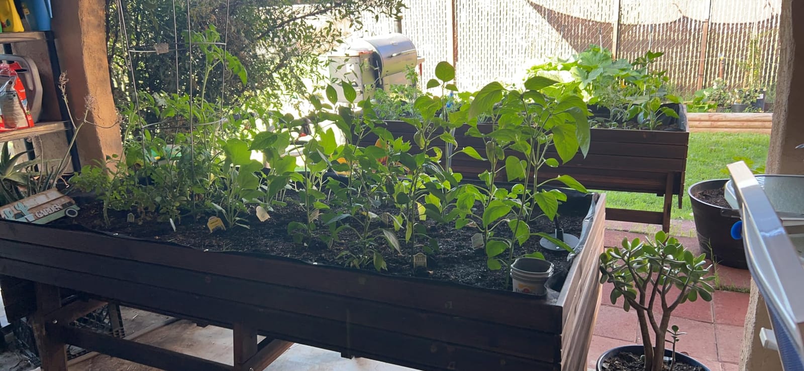 MUPATER 6x3x2FT Cedar Raised Garden Bed for Outdoor, Raised Garden Bed wit 6 Legs, 837lbs Large Elevated Garden Planter Box with Liner for Herbs,Vegetables, Rustic customer photo 1