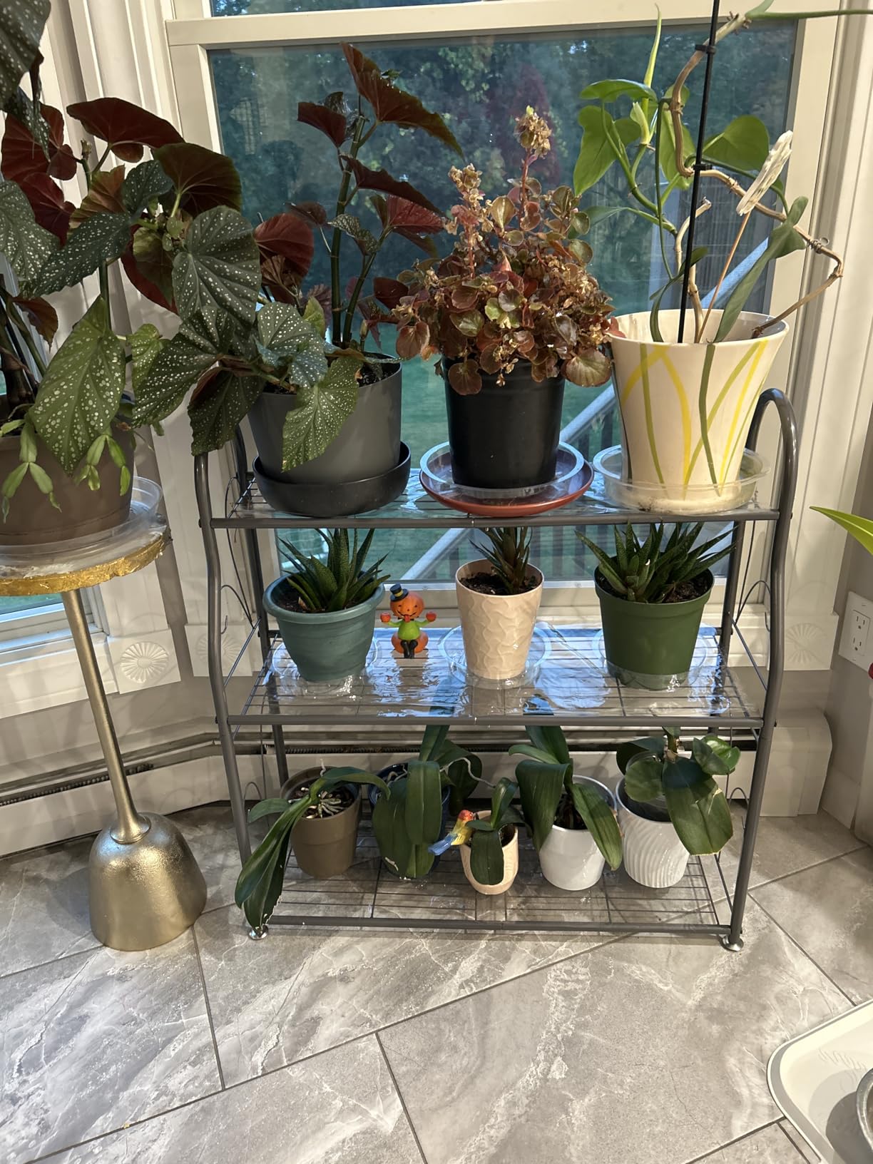 SORCEDAS Plant Stand Indoor Outdoor 3 Tier Metal Corner Flower Shelf customer photo 2