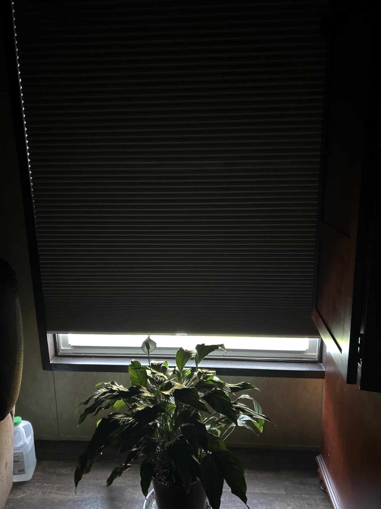Changshade Cordless Cellular Shades,Light Filtering Honeycomb Shades for Windows,Pull Down Pleated Blinds,Easy to Install for Indoor Windows and French Doors,White,Custom Size customer photo 1