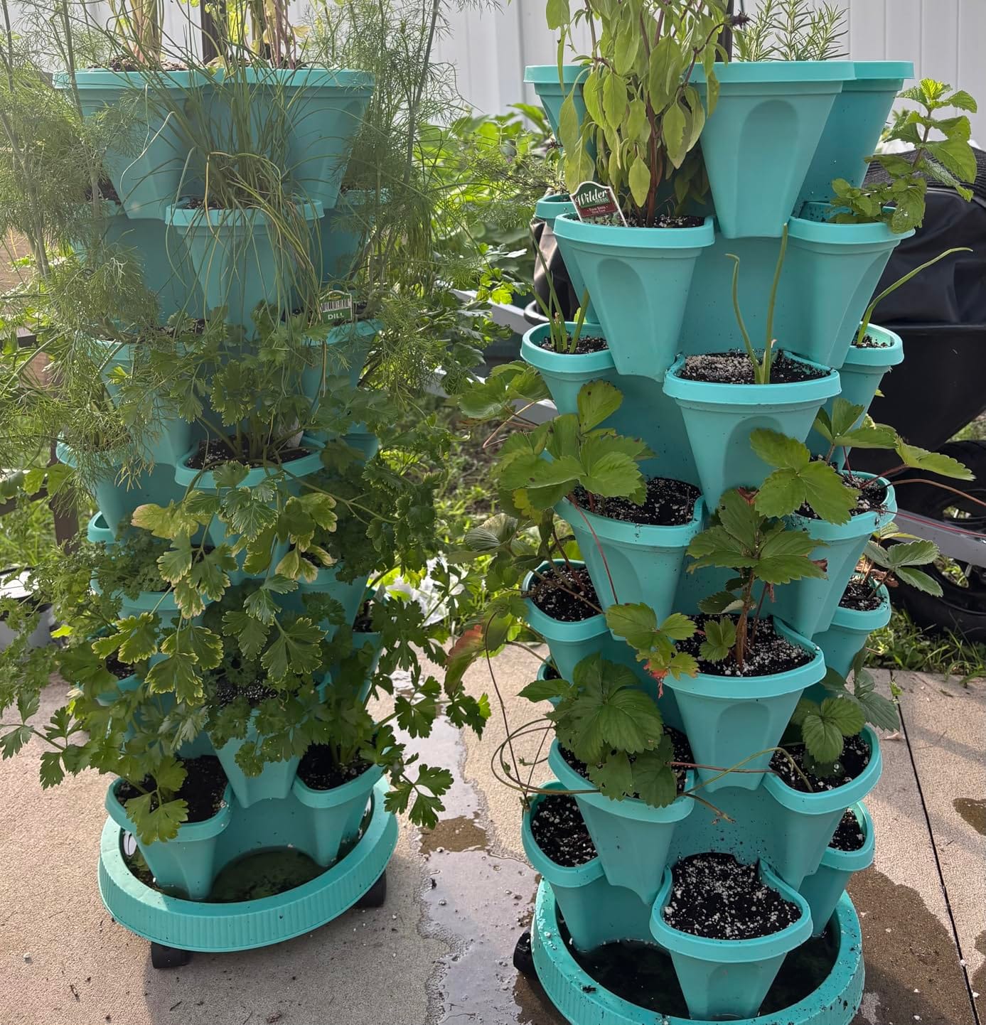 DUNCHATY Stackable Vertical Garden Planter with Wheels, 5 Tier Herb Planter Pots for Growing Vegetables and Succulents, Pine Green customer photo 1