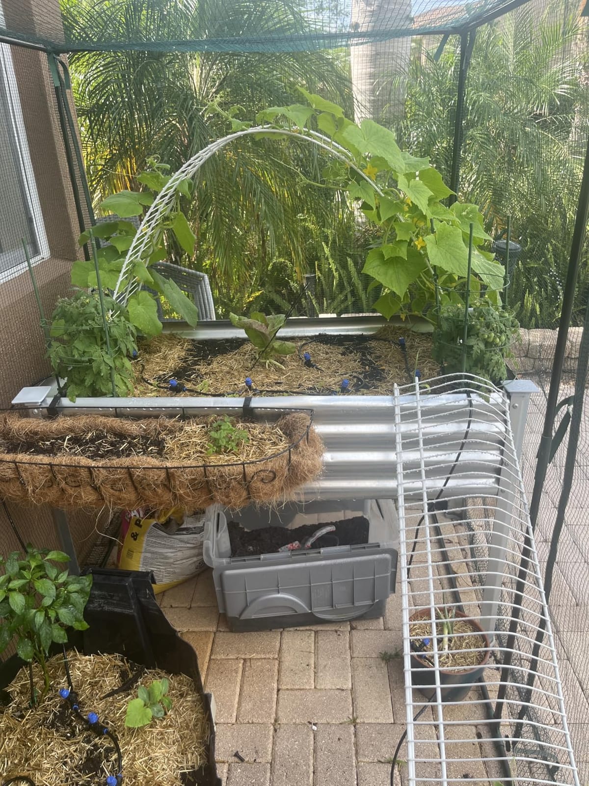 Land Guard Galvanized Raised Garden Bed with Legs, 48×24×32in Large Metal Elevated Raised Planter Box with Drainage Holes for Backyard, Patio, Balcony, 700lb Capacity customer photo 1