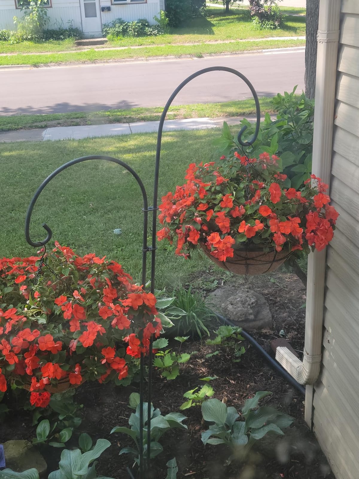 4 Pack 12 Inch Hanging Planters for Outdoor Plants Metal Watering Flower Baskets with Coco Liner for Outside Planting Plant Holder Pot for Home Garden Porch Balcony Railings Decor customer photo 1