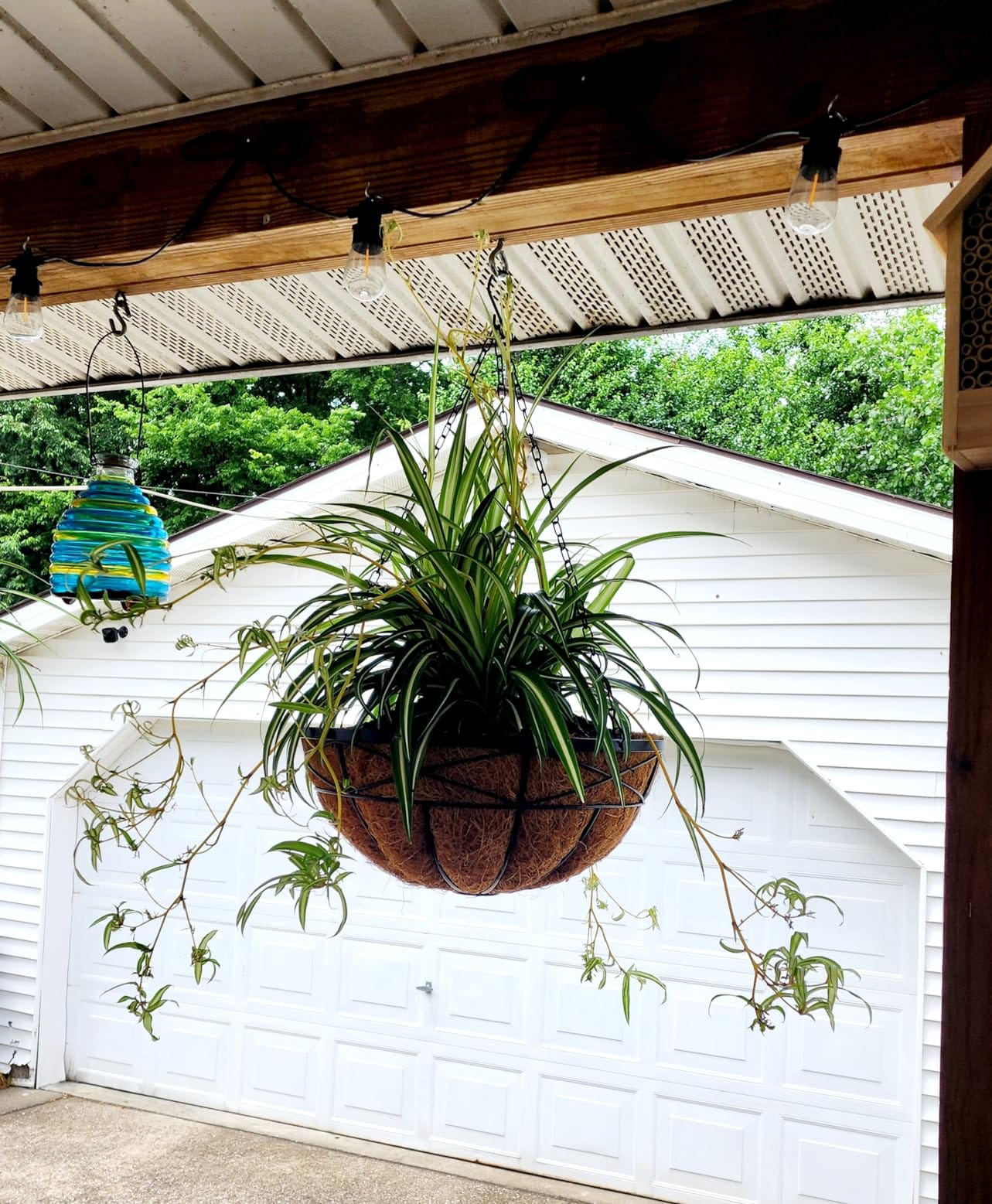 4 Pack 12 Inch Hanging Planters for Outdoor Plants Metal Watering Flower Baskets with Coco Liner for Outside Planting Plant Holder Pot for Home Garden Porch Balcony Railings Decor customer photo 2