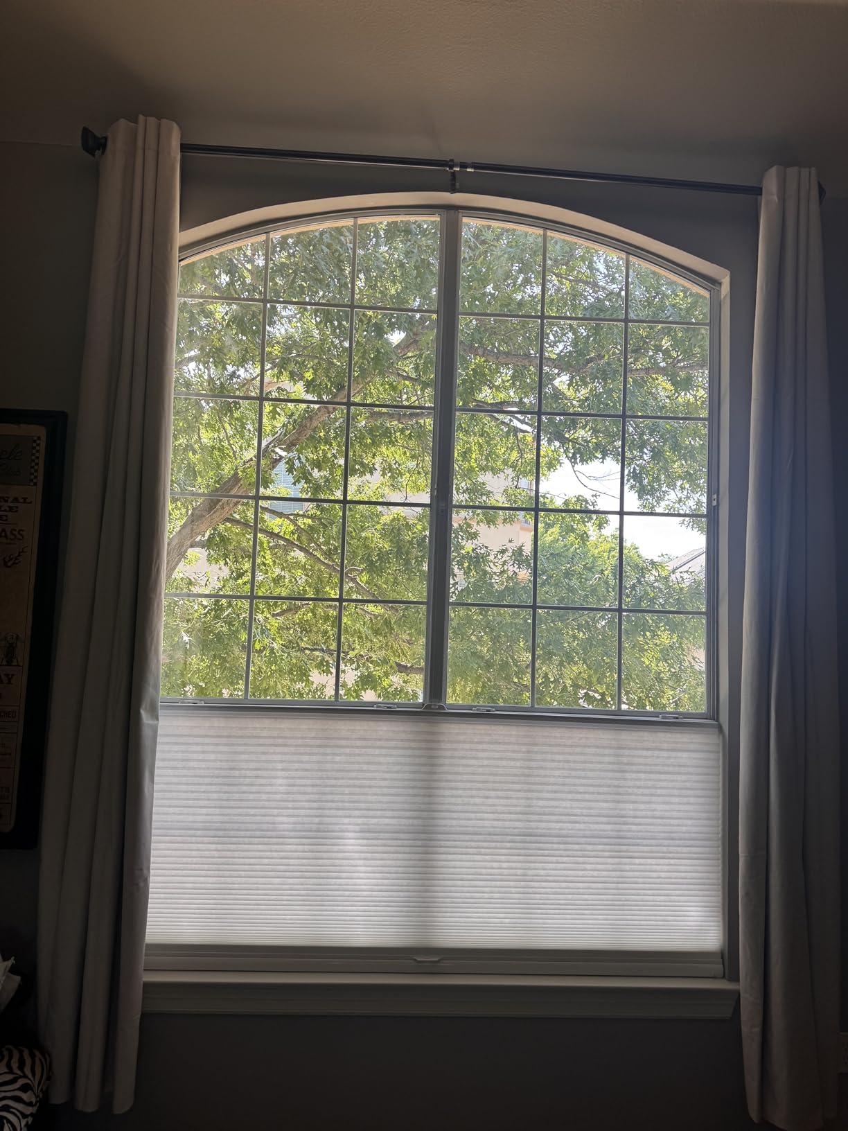 Persilux Custom Size Cellular Shades Top Down Bottom Up Cordless Light Filtering Honeycomb Blinds Thermal UV Protection Energy Saving Pleated Window Shades for Indoor Windows Easy to Install White customer photo 1