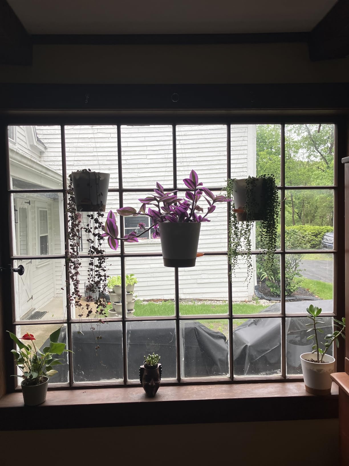 YNNICO Indoor Self Watering Planters with Drainage Holes and Saucers, 8, 7, 6.5, 6, 5.5, 5 Inches, Green, 6 Pots. customer photo 1
