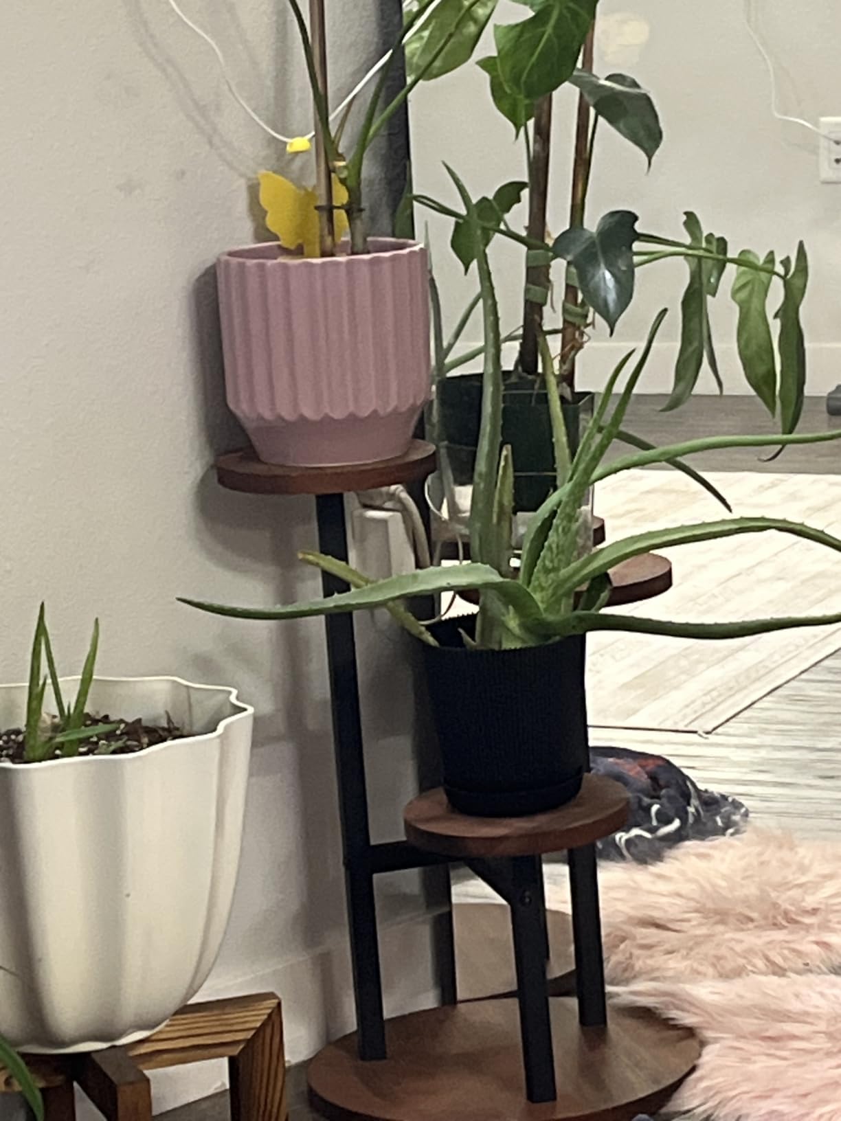 AUGOSTA 4 Tier Corner Plant Stand, Tall Metal Wood Plant Shelf Holder for Indoor, Outdoor Display Rack Flower Pot Stand for Living Room Balcony Garden Patio customer photo 1