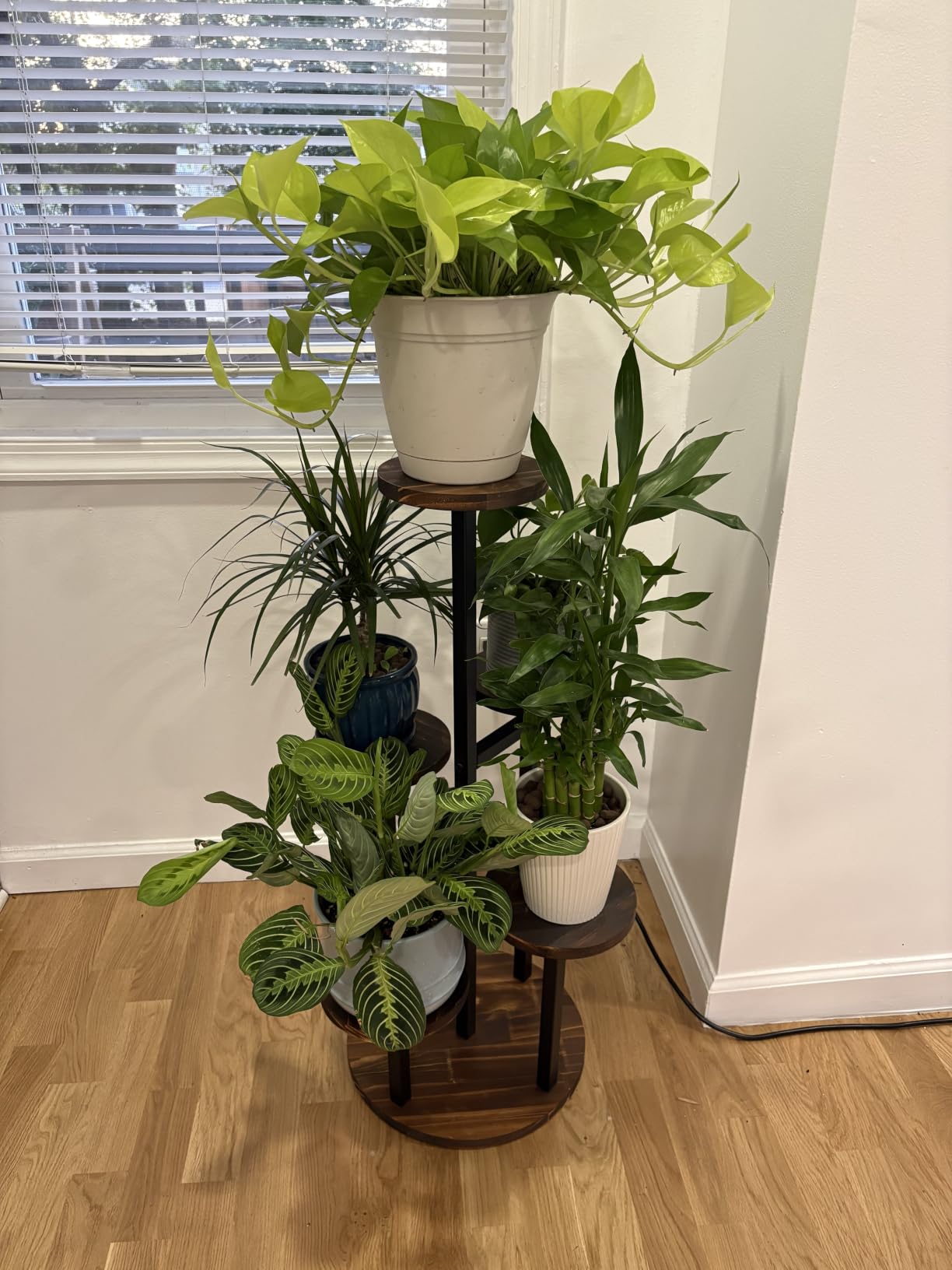AUGOSTA 4 Tier Corner Plant Stand, Tall Metal Wood Plant Shelf Holder for Indoor, Outdoor Display Rack Flower Pot Stand for Living Room Balcony Garden Patio customer photo 2