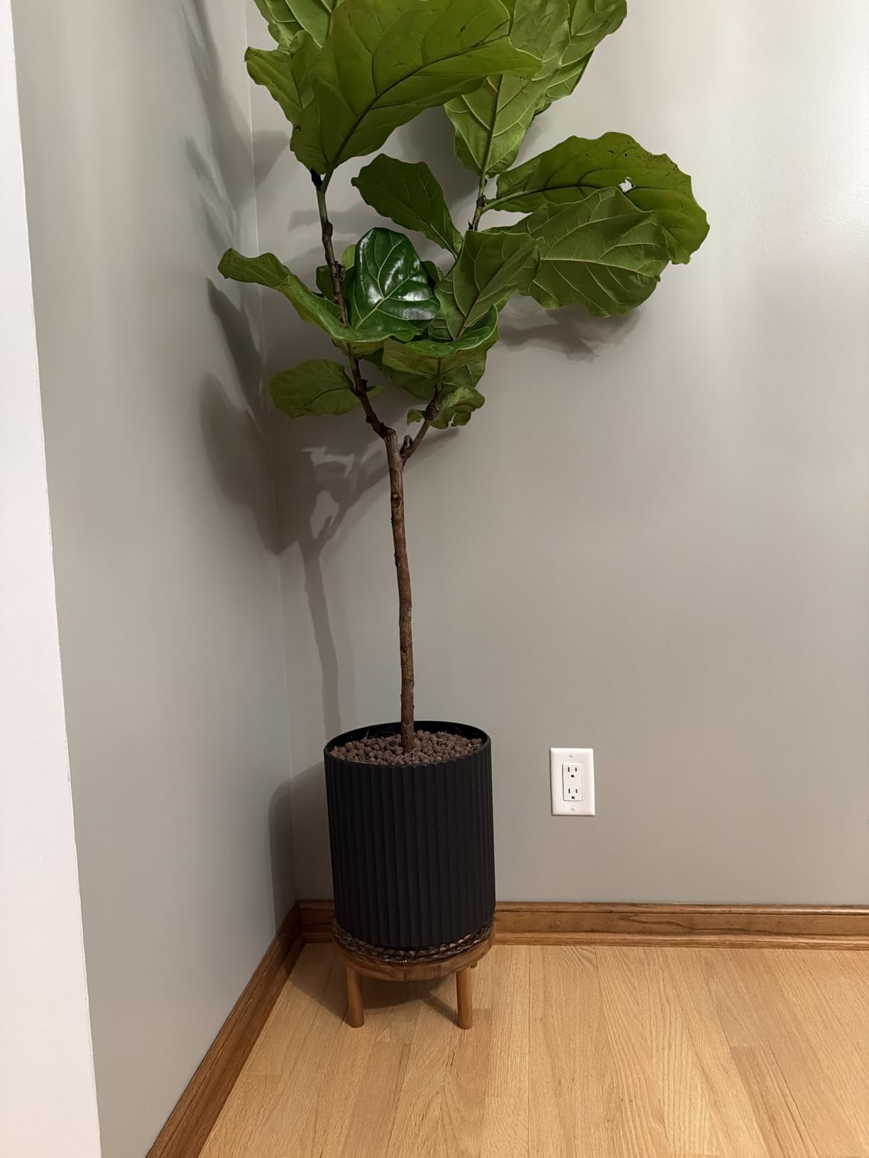 Veradek Demi Series Round Planter w/ Stand for Porch/Patio | Durable Plastic-Concrete & Wooden Stand | Modern Décor for Tall Plants, Flowers customer photo 1