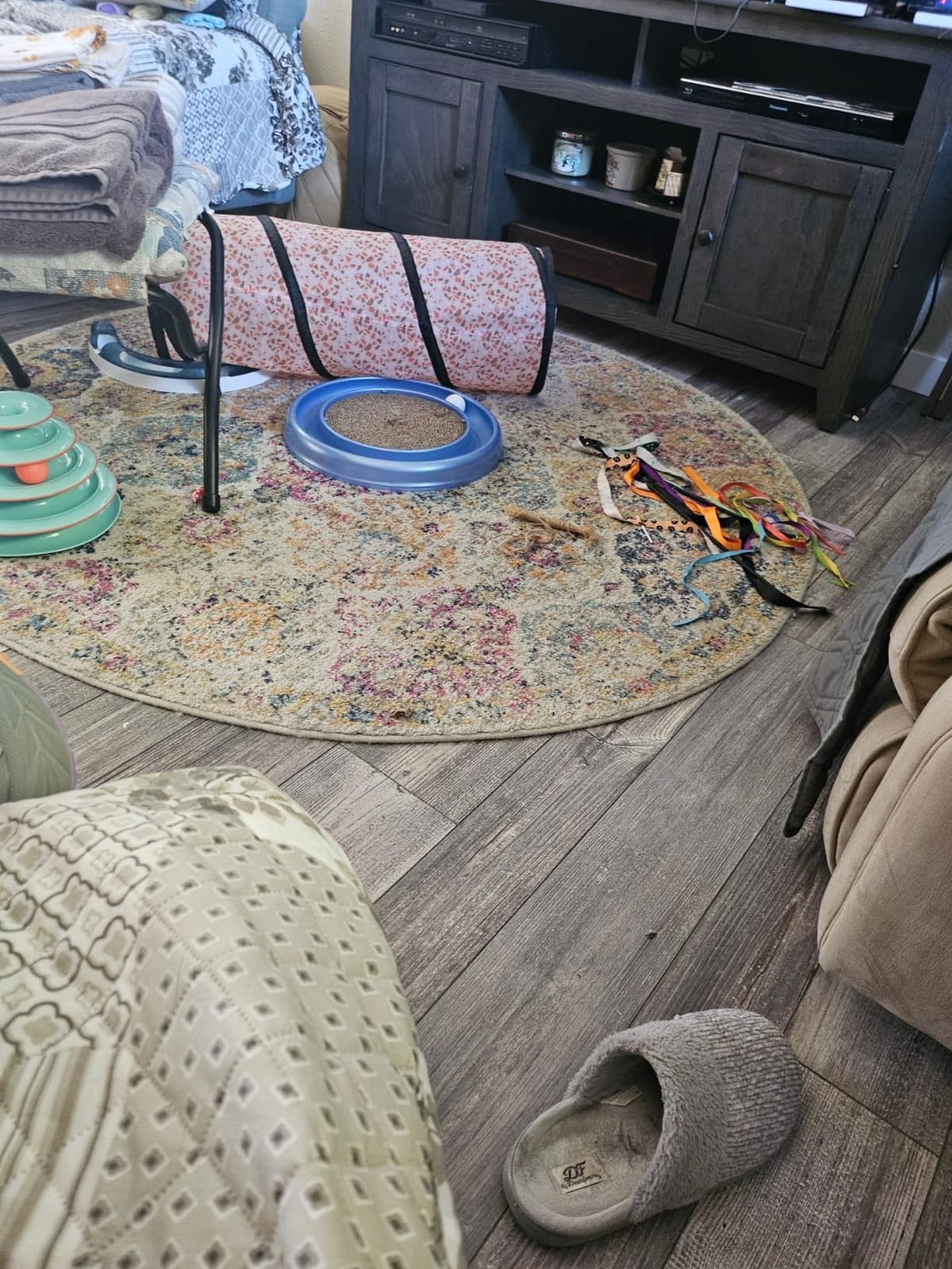 BAGAIL Non-Slip Rug Pad Gripper 2x6 ft for Area Rugs and Hardwood Floors customer photo 1
