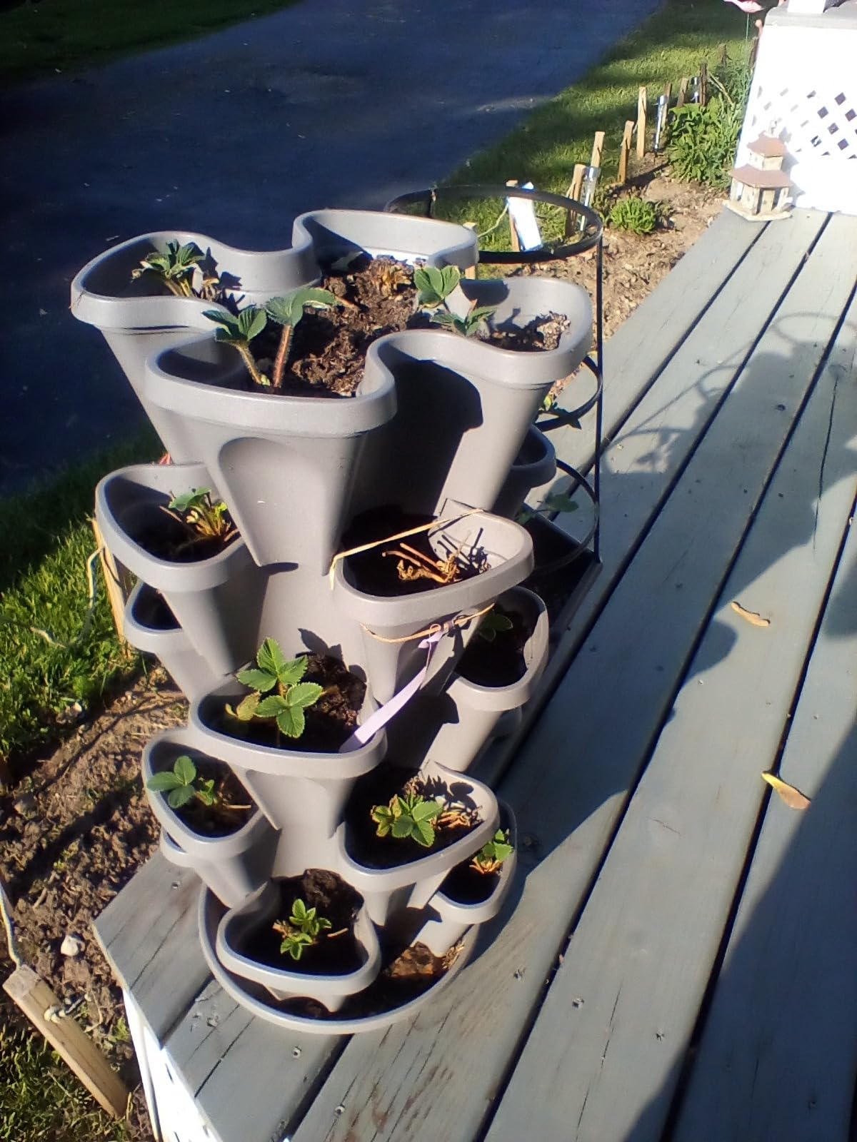 5-Tier Stackable Strawberry Garden – 24 Quart Indoor / Outdoor Stacking Planter with Drip Saucer – Grow Herbs, Strawberries, and Flowers from The Kitchen or Backyard – Plant and Stack! Easy Gardening customer photo 2
