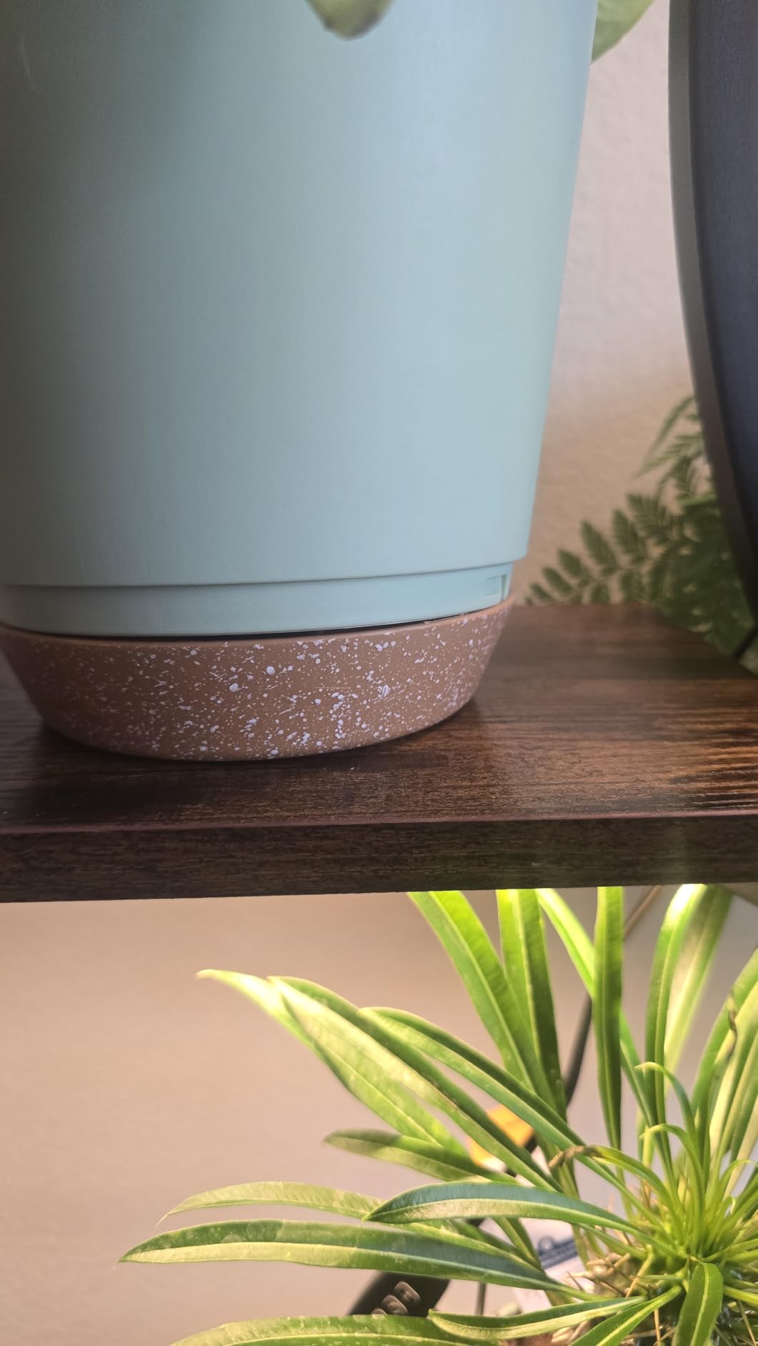 QRRICA Plant Pots 10/9/8/7.5/7 Inch Self Watering Pots, Set of 5 Plastic Planters with Drainage Holes and Saucers,Plastic Flower Pots,Nursery Planting Pot for Indoor Out Door Plants(Green) customer photo 2