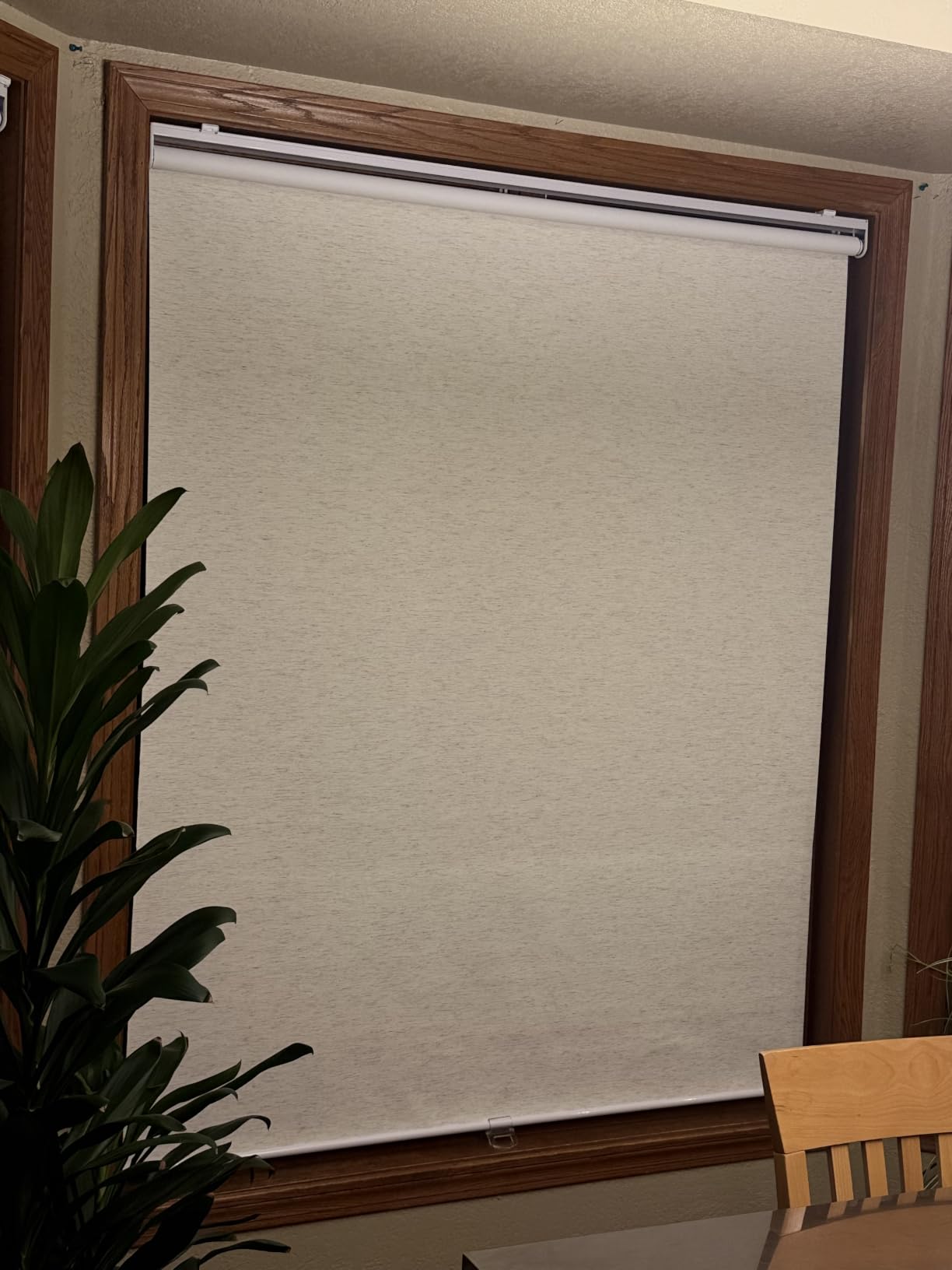 SUNOFF Blackout Cordless Roller Shades Blinds,23