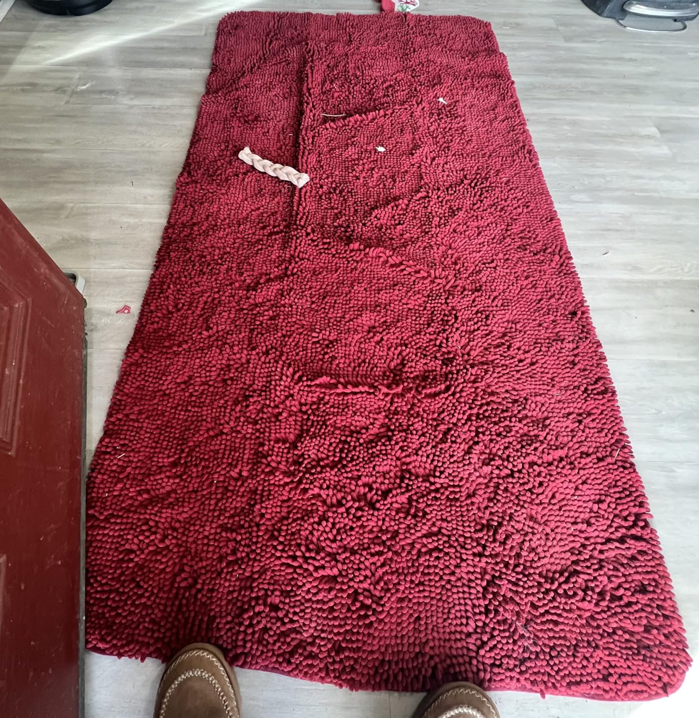 OLANLY Dog Door Mat for Muddy Paws 30x20, Super Absorbent Chenille Mud Mat customer photo 2
