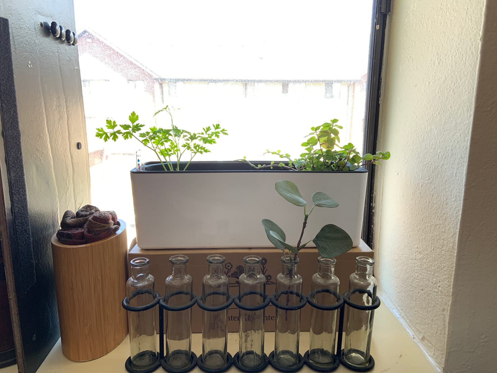Elongated Self Watering Planter Pots 2-Pack Window Box 5.5 x 16 inch Indoor Home Garden Modern Decorative Planter Pot for All House Plants Flowers Herbs (White,2) customer photo 2