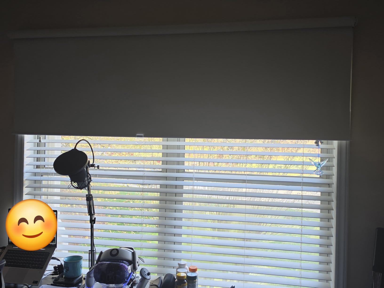 AOSKY Blackout Cordless Roller Shade for Indoor Windows, 29