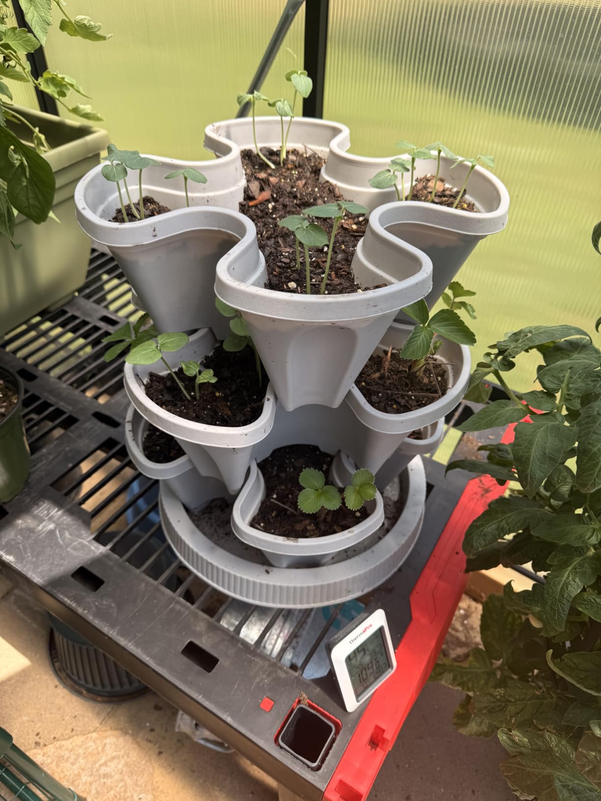 GameXcel Vertical Planter Tower - 5 Tier Stackable Garden Planters with Wheels and Tools Plant Pots for Strawberry Herb Flower and Vegetable Indoor Outdoor Use Teal customer photo 1