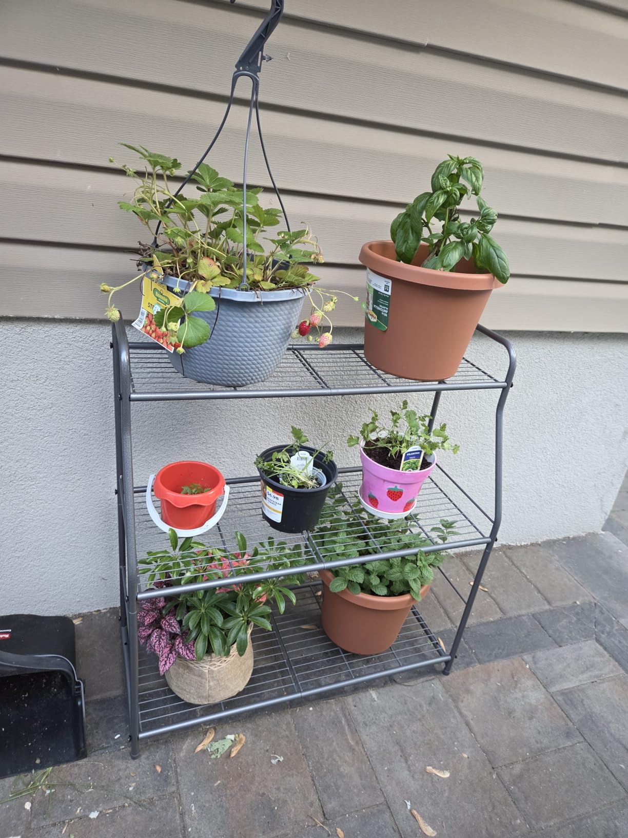Simple Trending Plant Stand 5-Tier Plant Shelf for Indoor Outdoor, Waterproof Metal Tall Plant Stand for Living Room Bathroom Balcony Garden, Black customer photo 2