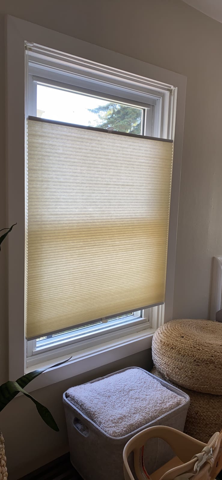 Top Down Bottom Up Cellular Skylight Shades for Ceiling & Door & Window customer photo 2
