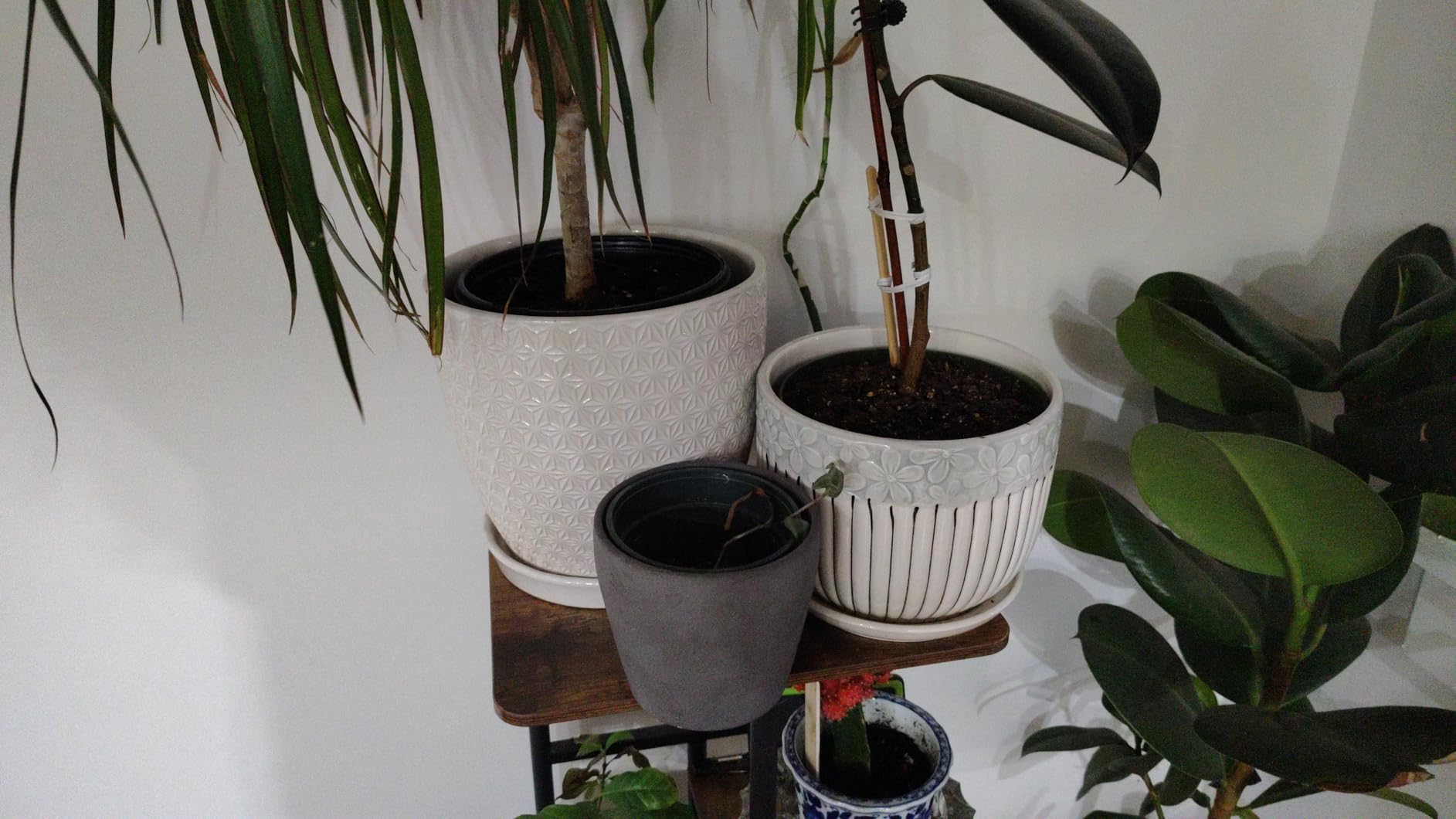 Hlukana Ceramic Plant Pots Set of 3, 6.75/5.6/4.2 inch Planters with Drainage Holes and Saucer, Flower Pot Outdoor Indoor, Modern Decorative Planters for House Plants Garden Planters Succulent Pots customer photo 2