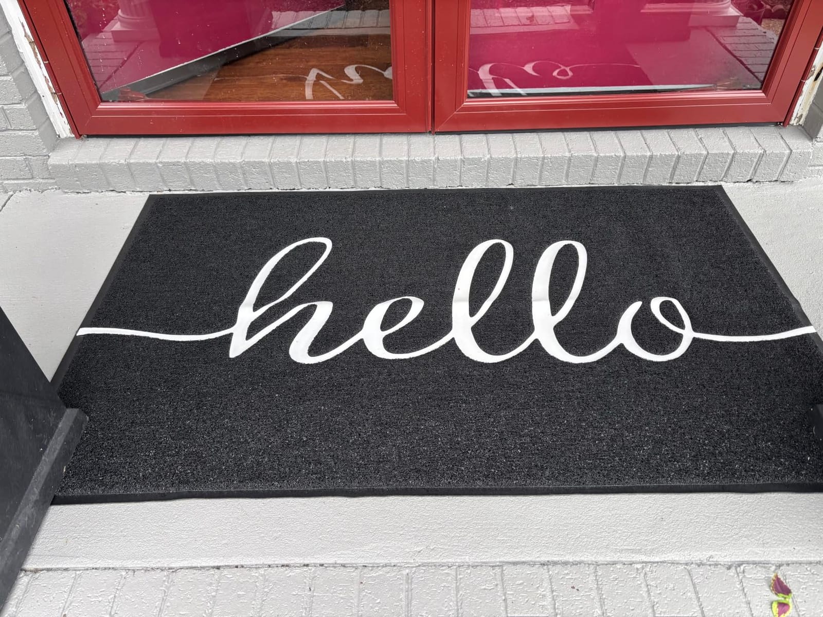 EARTHALL Door Mat Outside Inside Home Doormat, 30