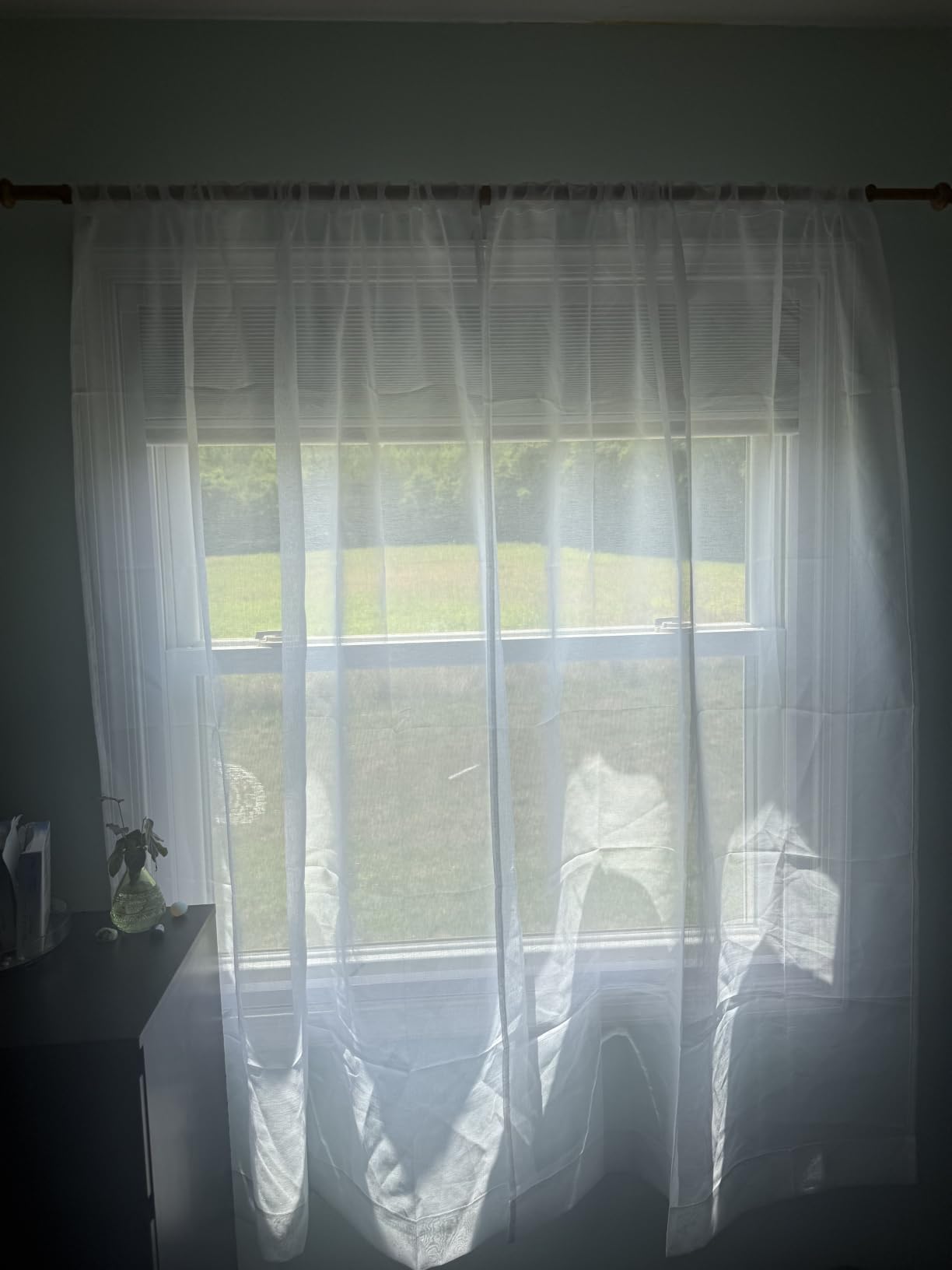 Hoeflife Cellular Shades Cordless Blackout, Skylight Blinds for Windows Roof Window Shades for Home, Room Darkening Honeycomb Blinds for Doors - Custom Cut to Size(Blackout, Black) customer photo 1