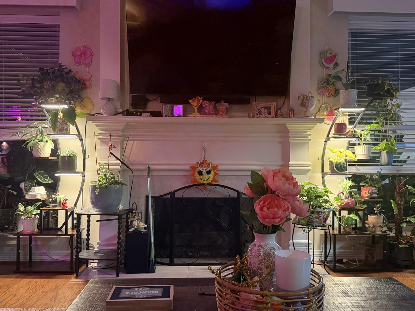 2 Pack Plant Stand Indoor with Grow Lights, 9 Tier Large Tall Plant Shelf customer photo 1