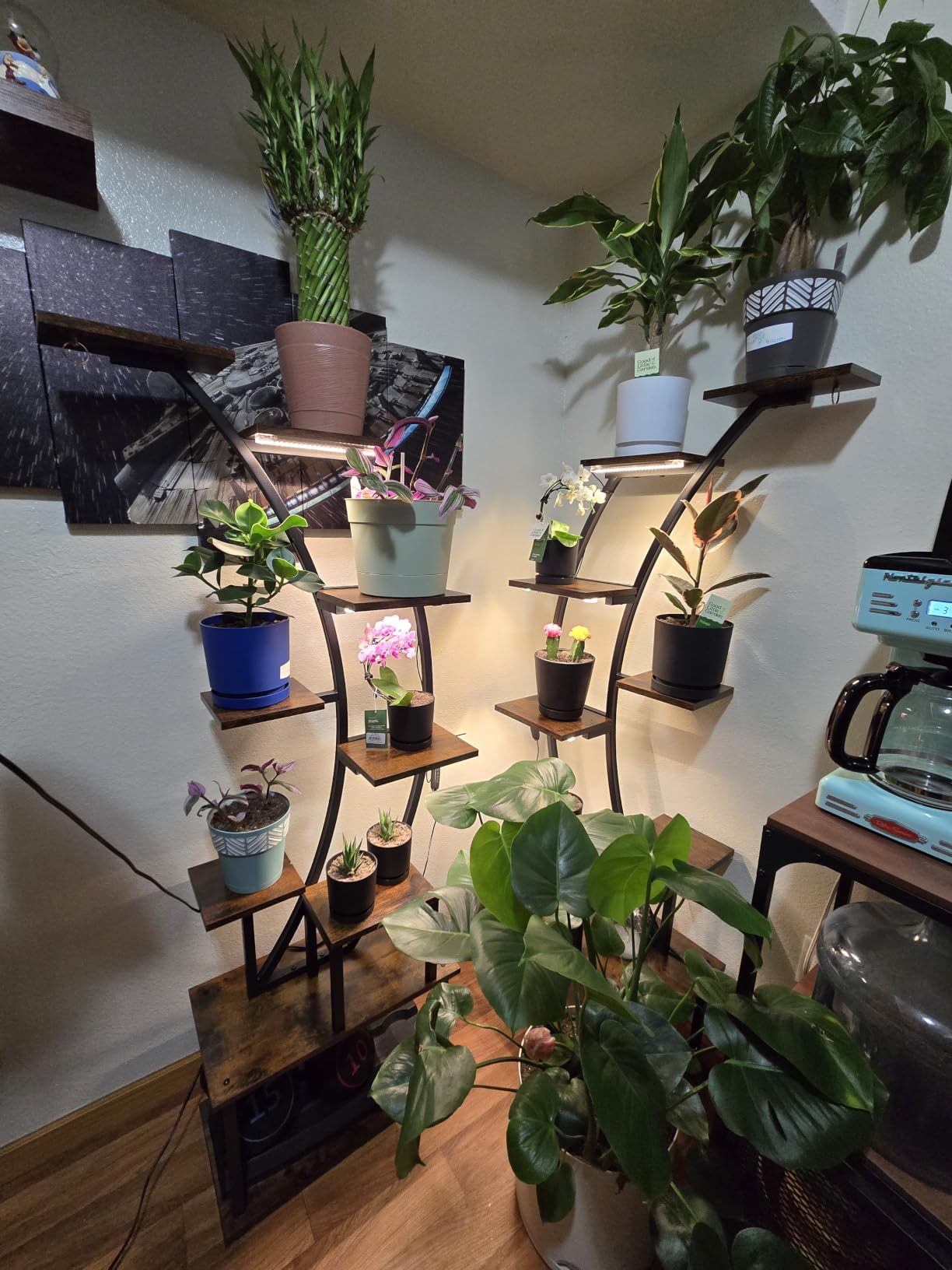 2 Pack Plant Stand Indoor with Grow Lights, 9 Tier Large Tall Plant Shelf customer photo 2
