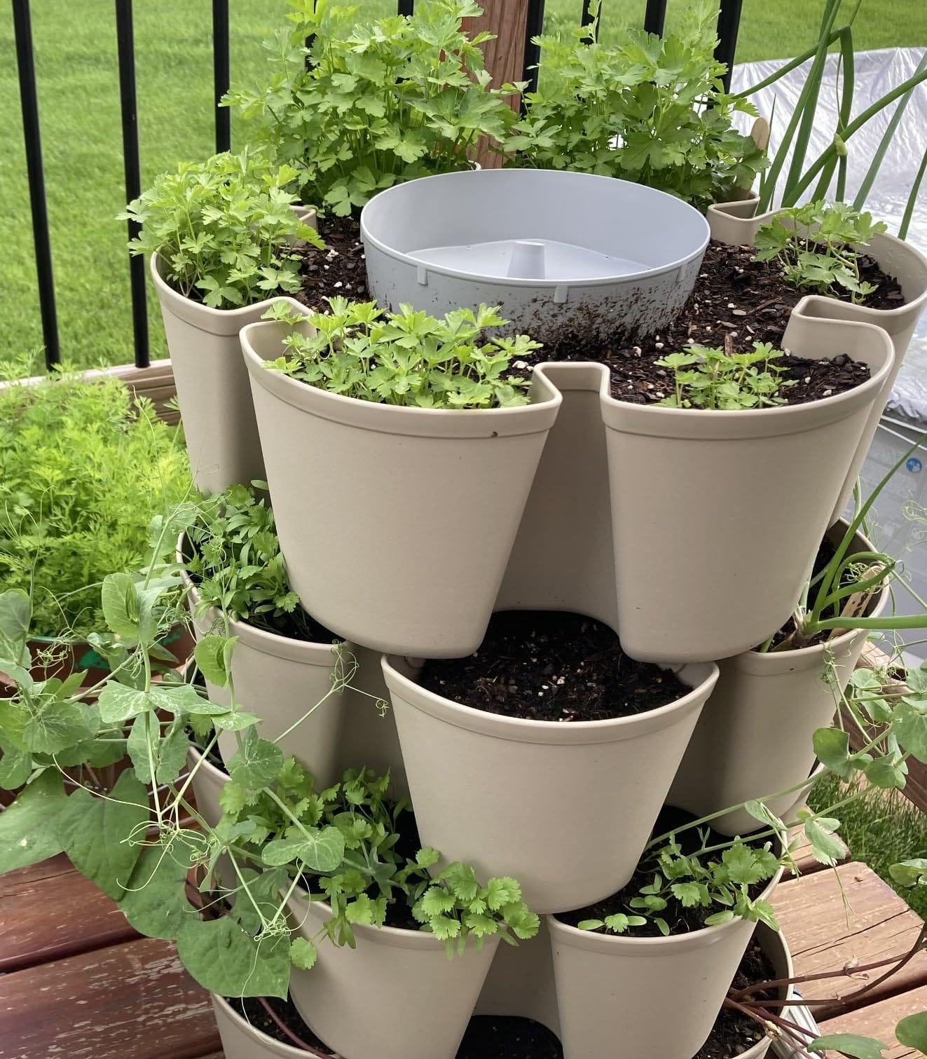Greenstalk Patented Large 5 Tier Vertical Garden Planter with Patented Internal Watering System Great for Growing a Variety of Strawberries, Vegetables, Herbs, & Flowers (Evergreen) customer photo 1