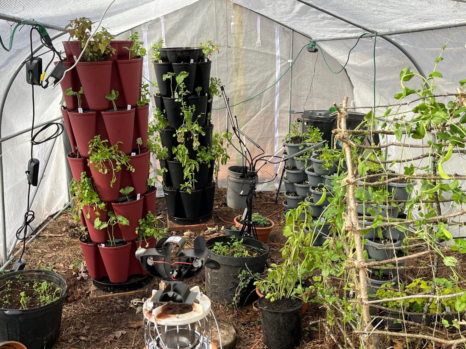 Greenstalk Patented Large 5 Tier Vertical Garden Planter with Patented Internal Watering System Great for Growing a Variety of Strawberries, Vegetables, Herbs, & Flowers (Evergreen) customer photo 2