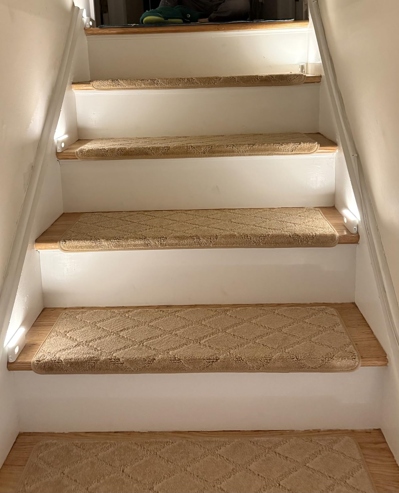 PURE ERA Bullnose Carpet Stair Treads Tape Free Non-Slip Indoor Stair Protectors Pet Friendly Stair Treads for Wooden Steps 9.5