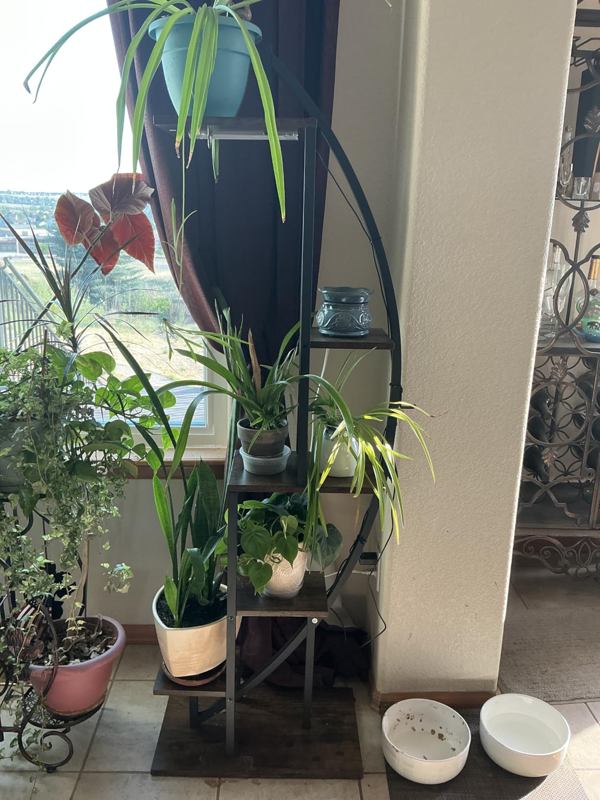 BACEKOLL Plant Stand with Grow Light, 2 Pack Tall Indoor Plant Shelf 6 Tier customer photo 2