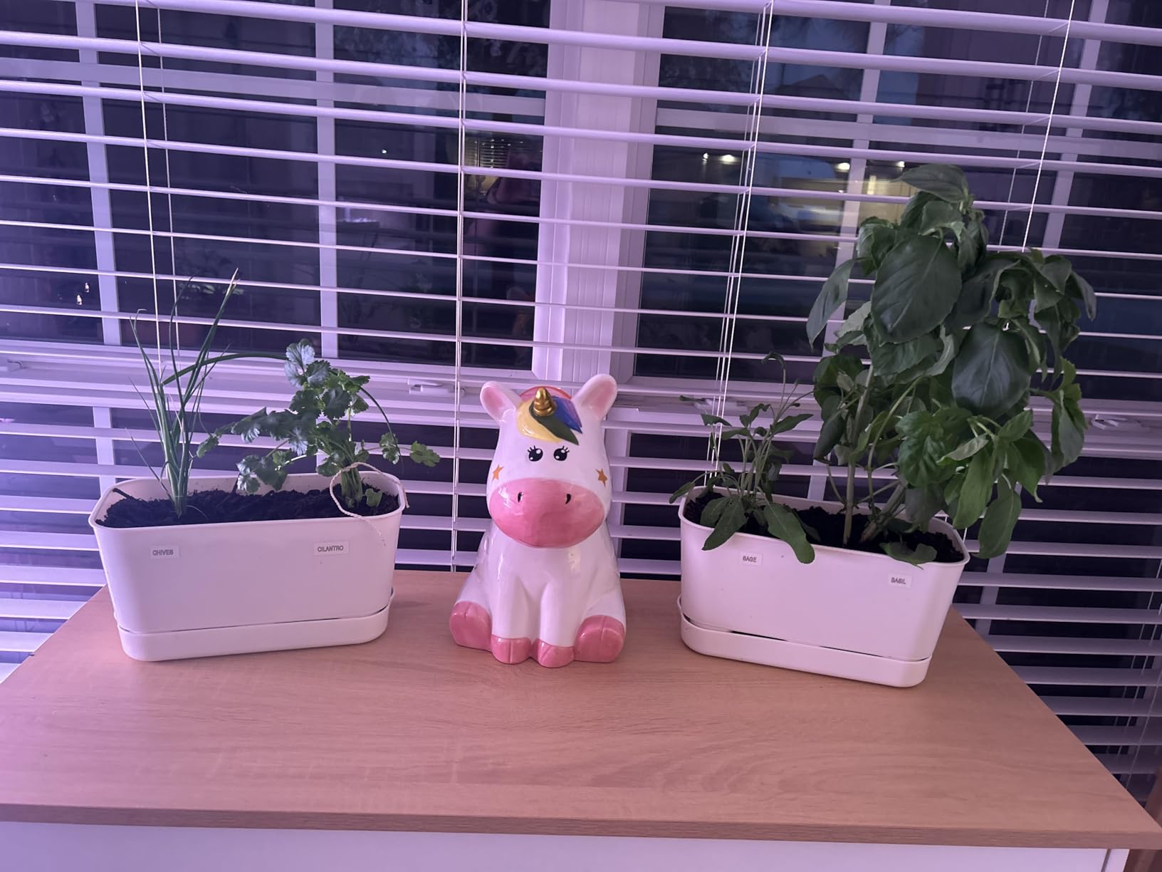 Oliz Self Watering Planters: 2 Packs Rectangular Plant Pots with with Drainage and Tray, 10 Inch Window Pot Self Watering Planter for Herb, Houseplants customer photo 1