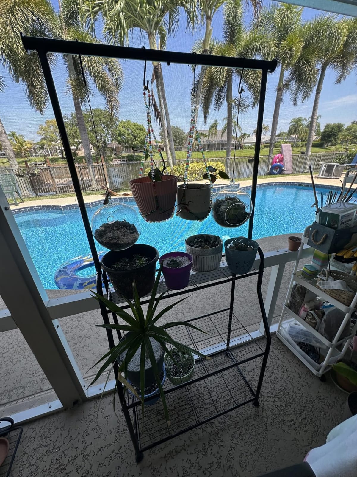 Simple Trending Plant Stand Indoor Outdoor, Heavy Duty Metal 3 Tiered Hanging Plant Shelf for Multiple Flower Planter Holder Tall Large Rack for Living Room Garden Balcony, Black customer photo 1