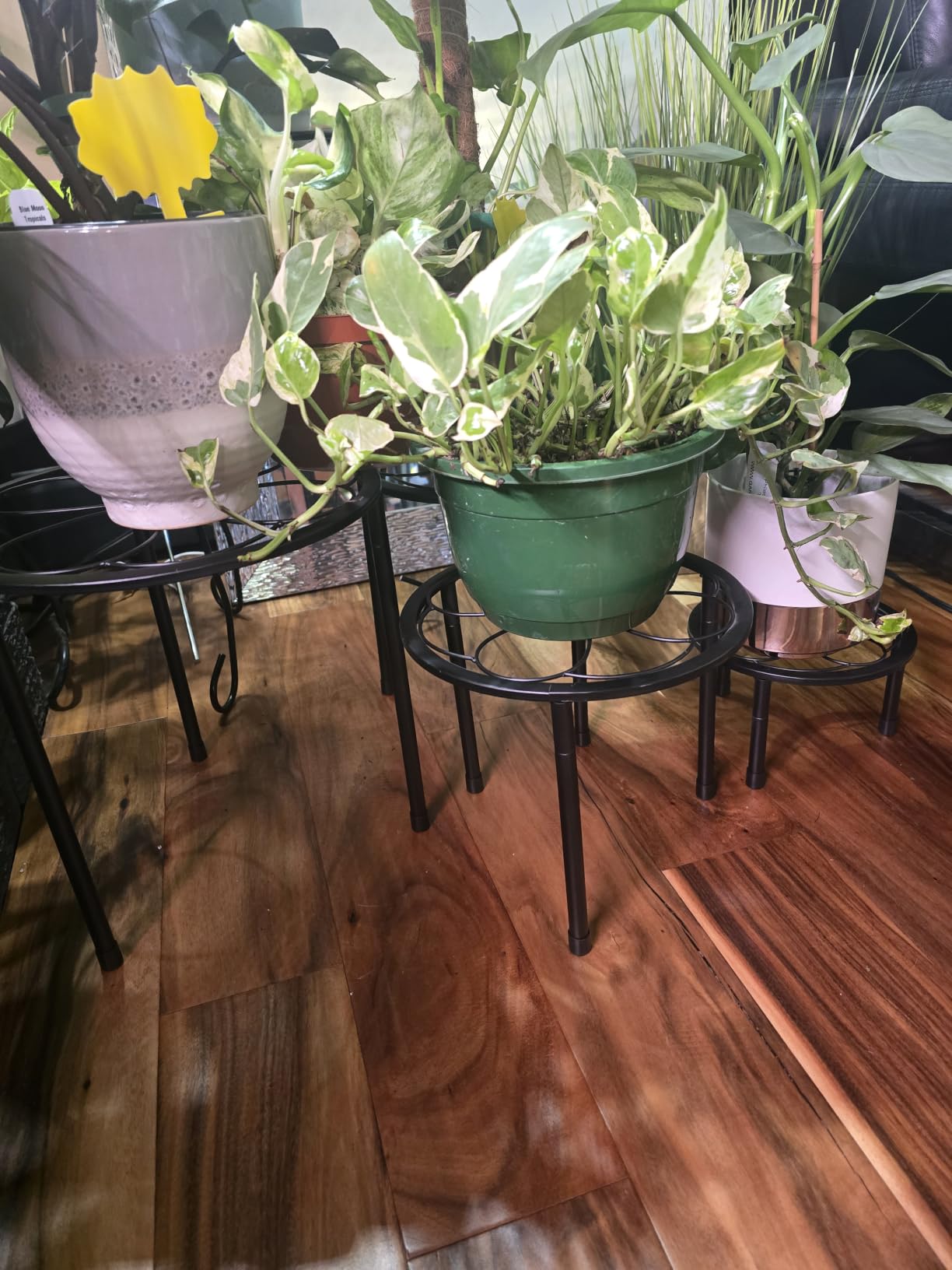 Amaoot 5 Pack Metal Plant Stand, Iron Plant Stands for Indoor and Outdoor customer photo 2