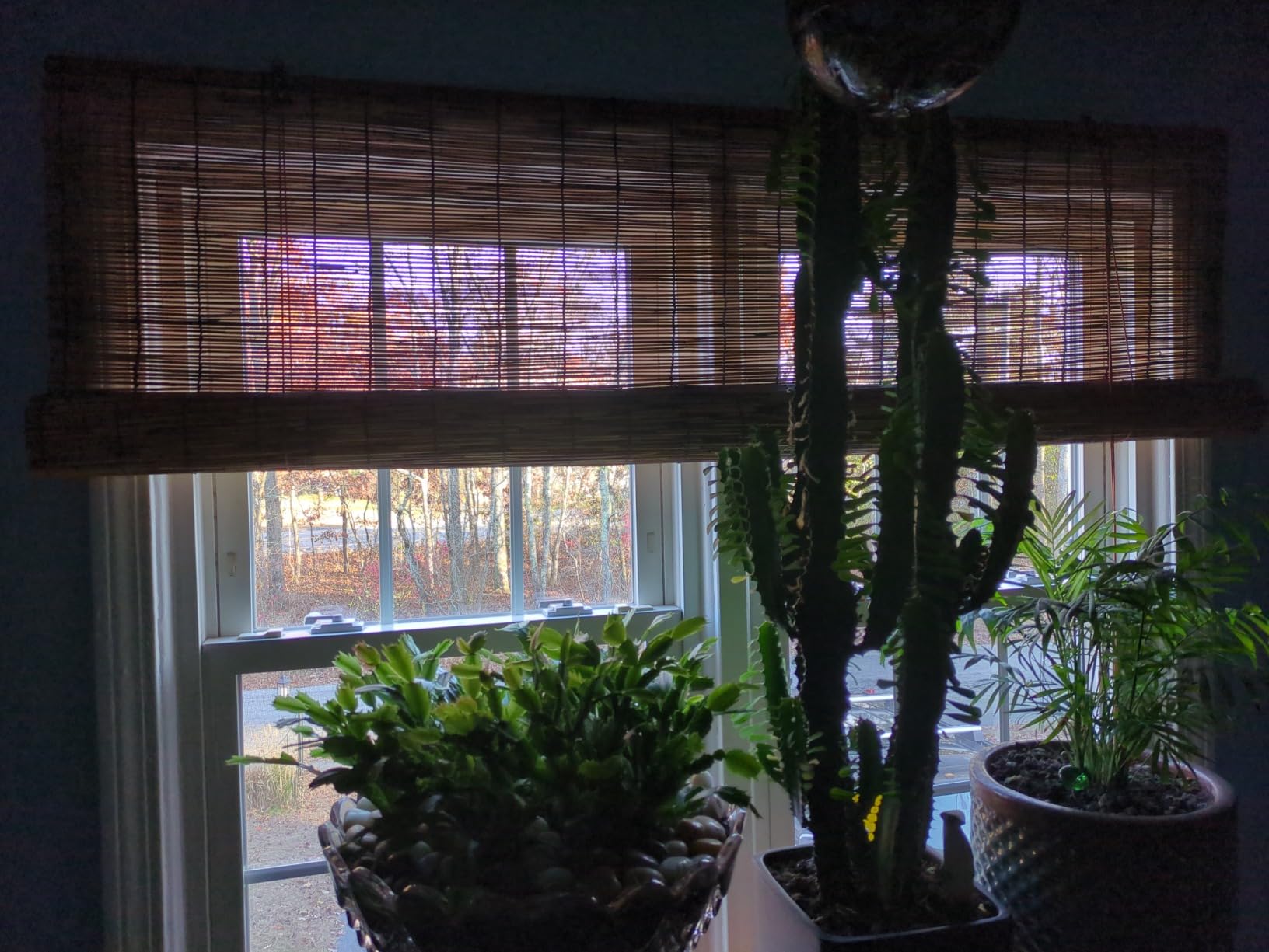 Retro Bamboo Blinds 14
