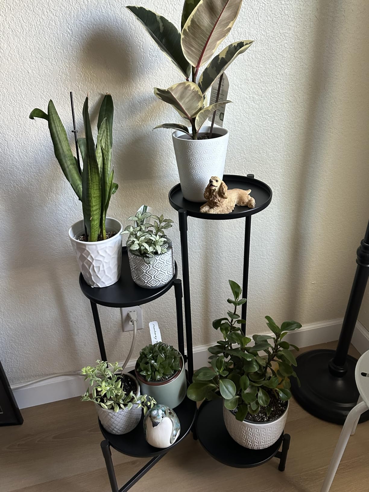 iDavosic.ly 6 Tier Large Plant Stand Indoor Outdoor, 10 In Wide Tray, Black customer photo 2