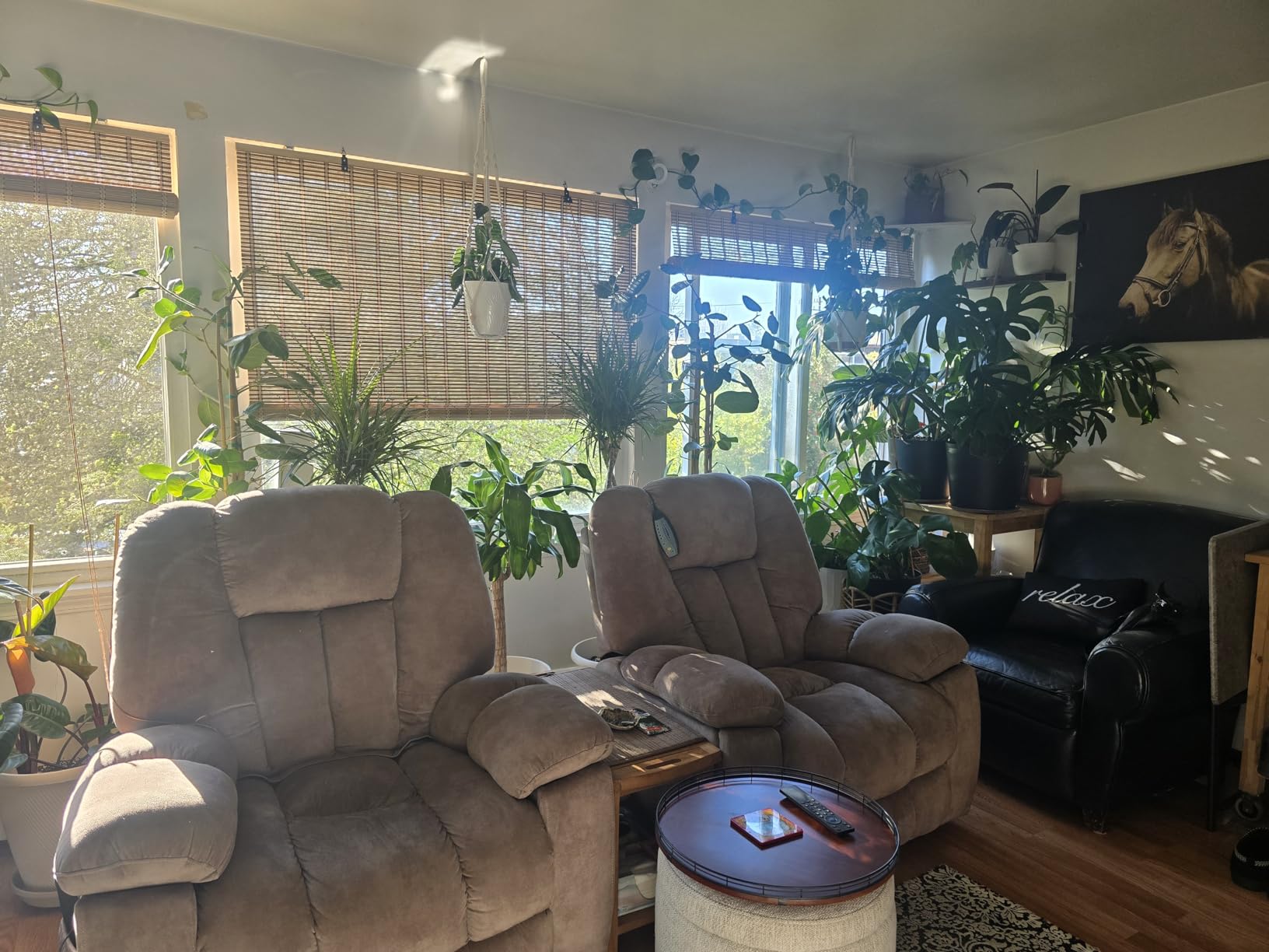 BAYUE Bamboo Blinds, Roll Up Window Shades with Light Filtering for Home customer photo 2